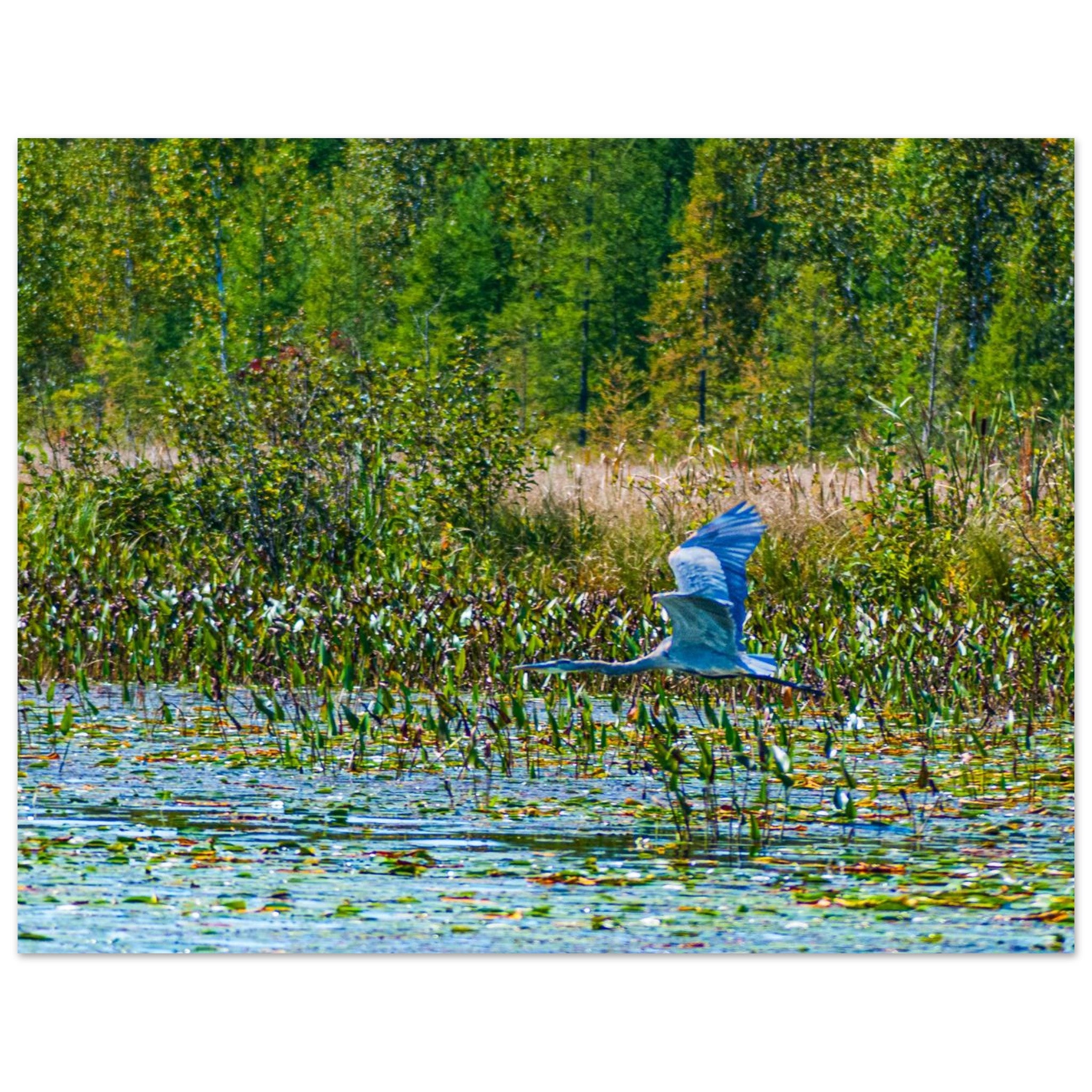 339218a0-3218-460e-a951-7b515fce3447