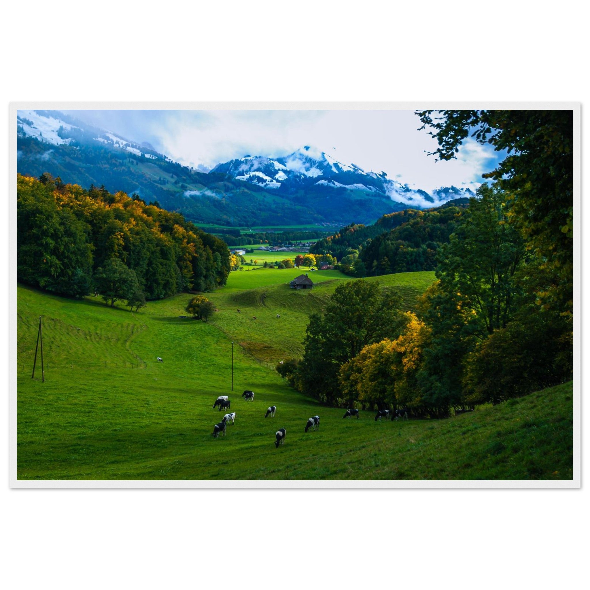 33fc5562-48bc-44b4-bcb8-bc395e45af39