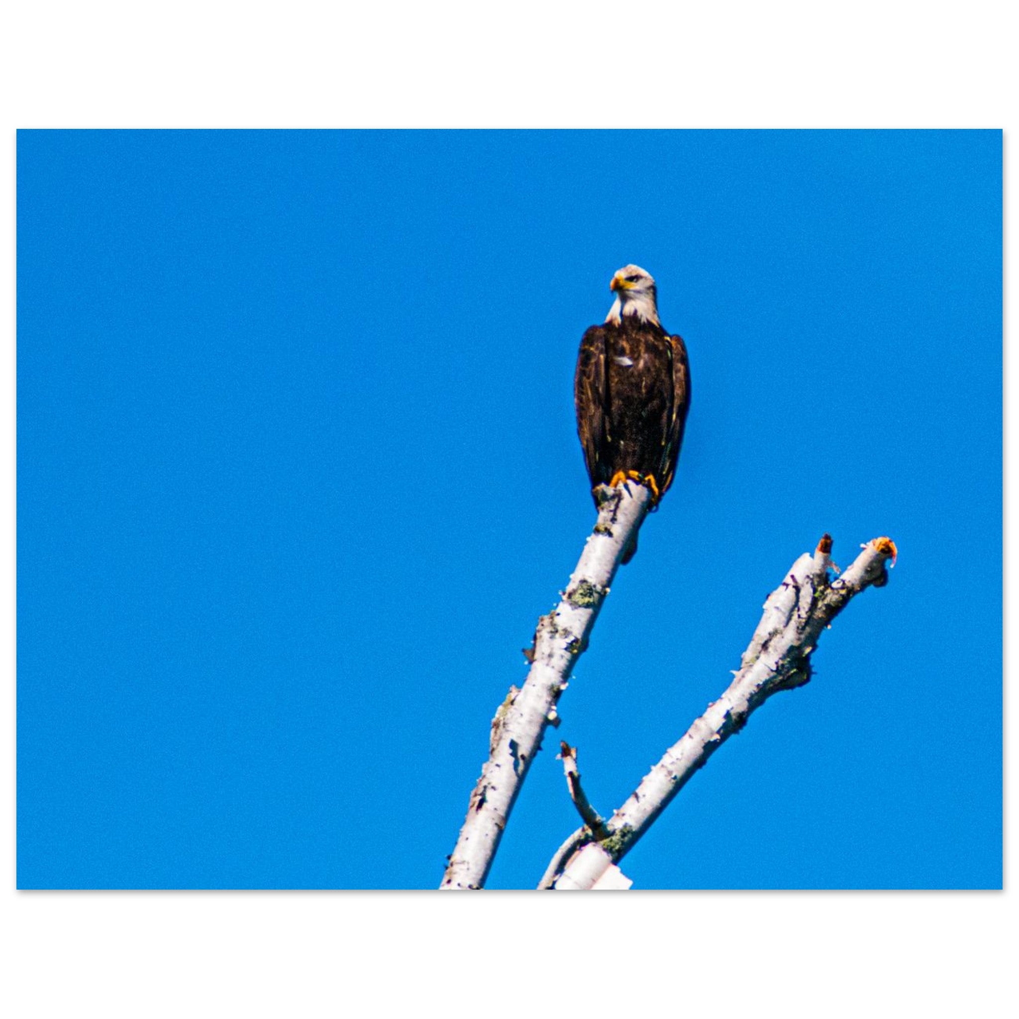 341b6153-5d19-4ed1-a59c-5513f6a954b0