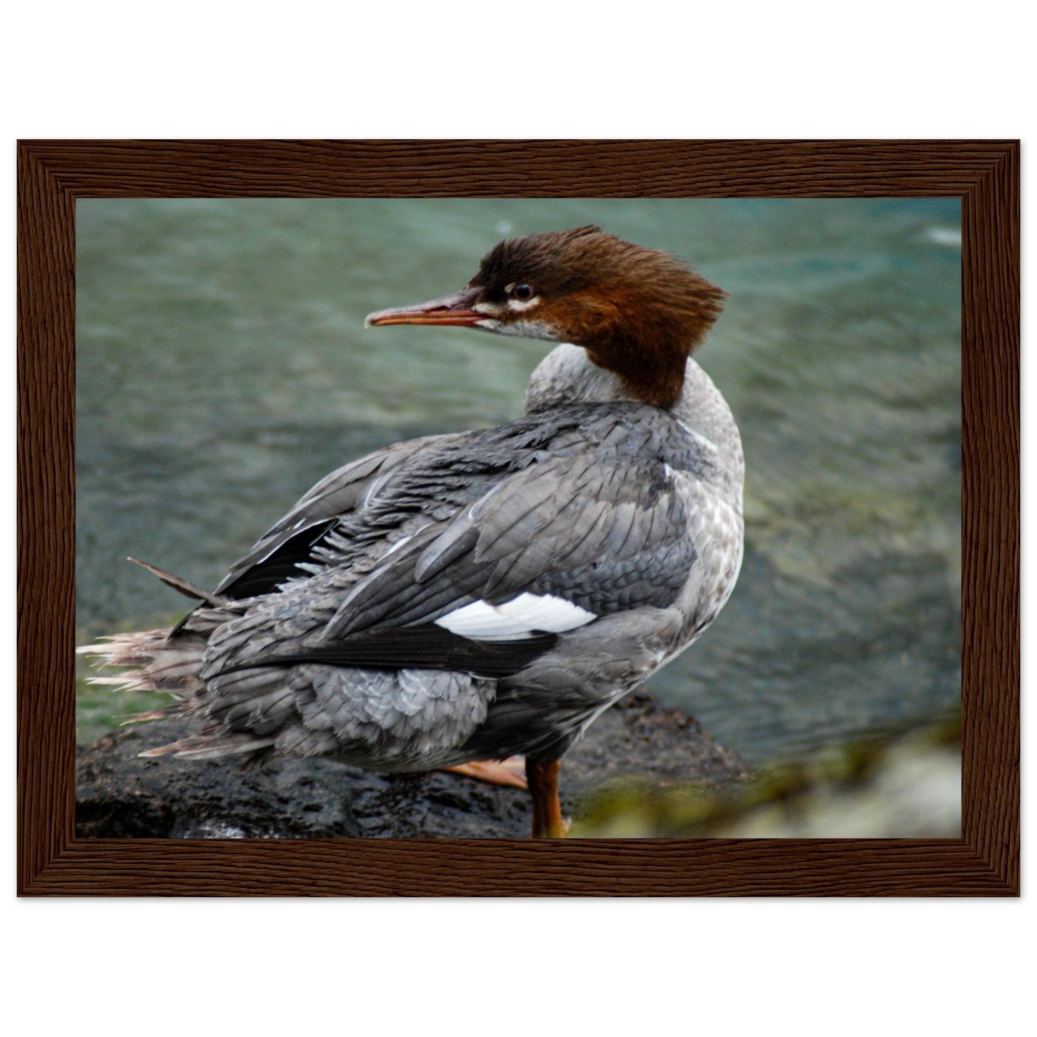 34dfec24-56d2-4a3e-9f05-de23c99fdc22