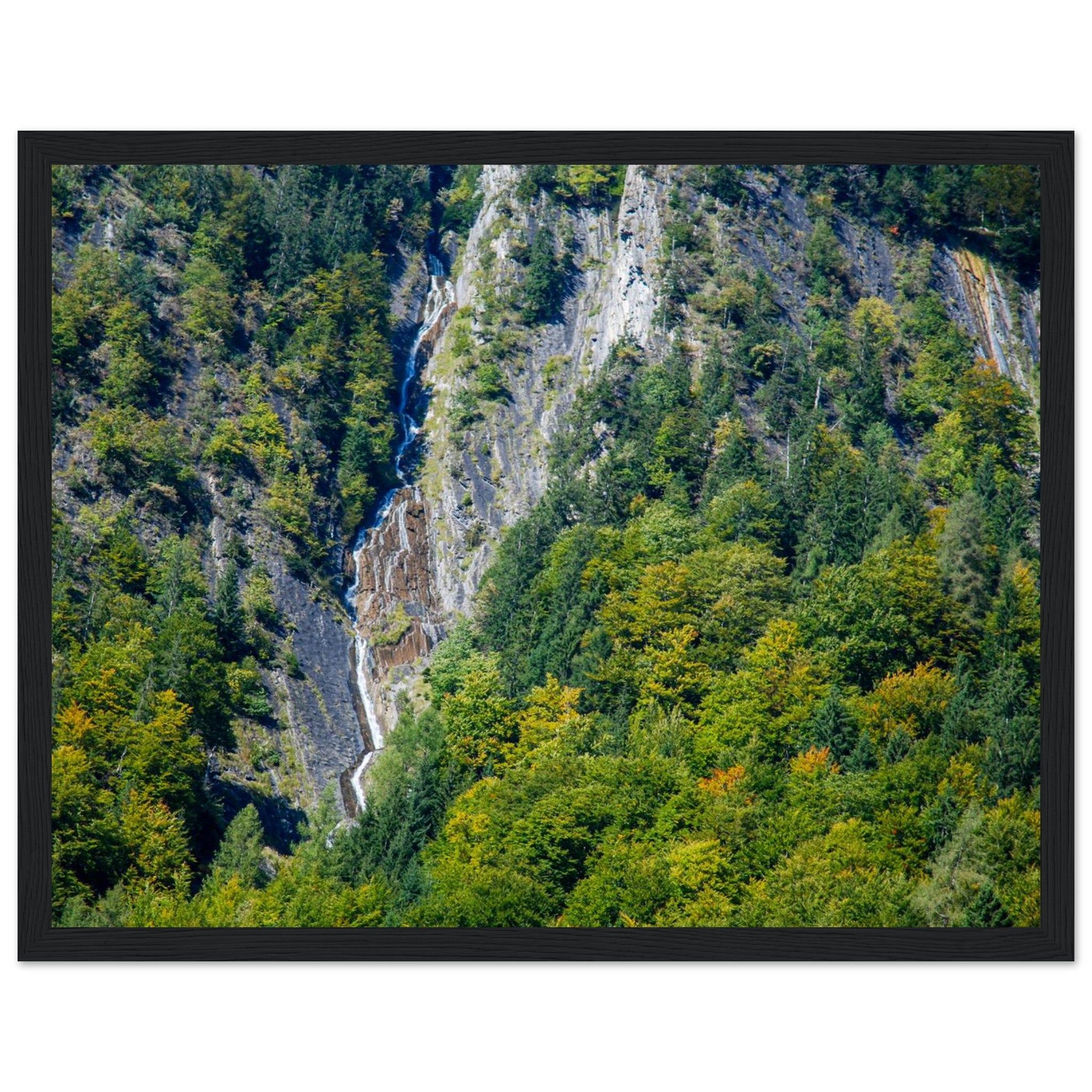 34f5c427-57f4-4b3c-ba41-f1d54c4ccd0c