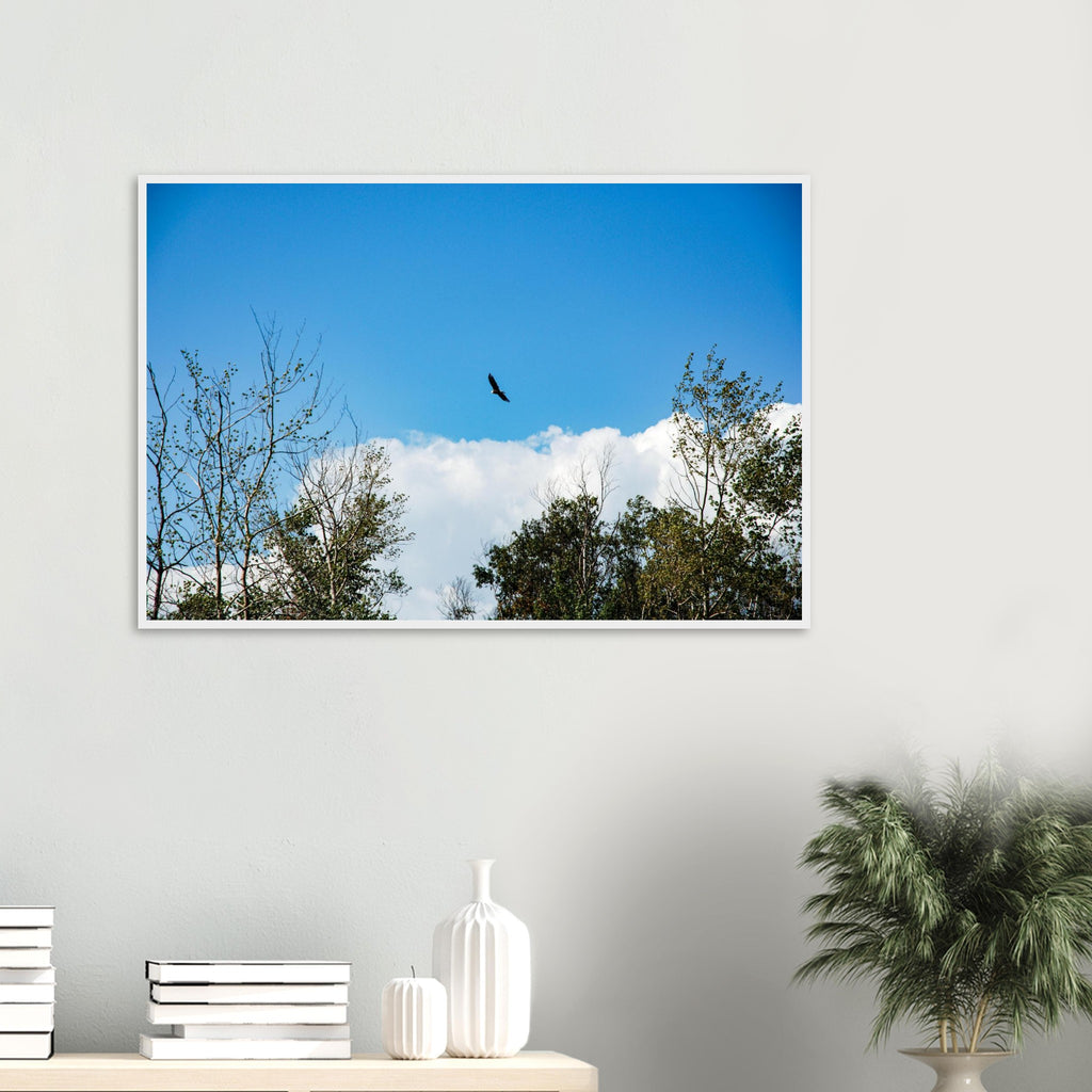 352e0959-1b21-4218-9a5b-ae2847dcb060