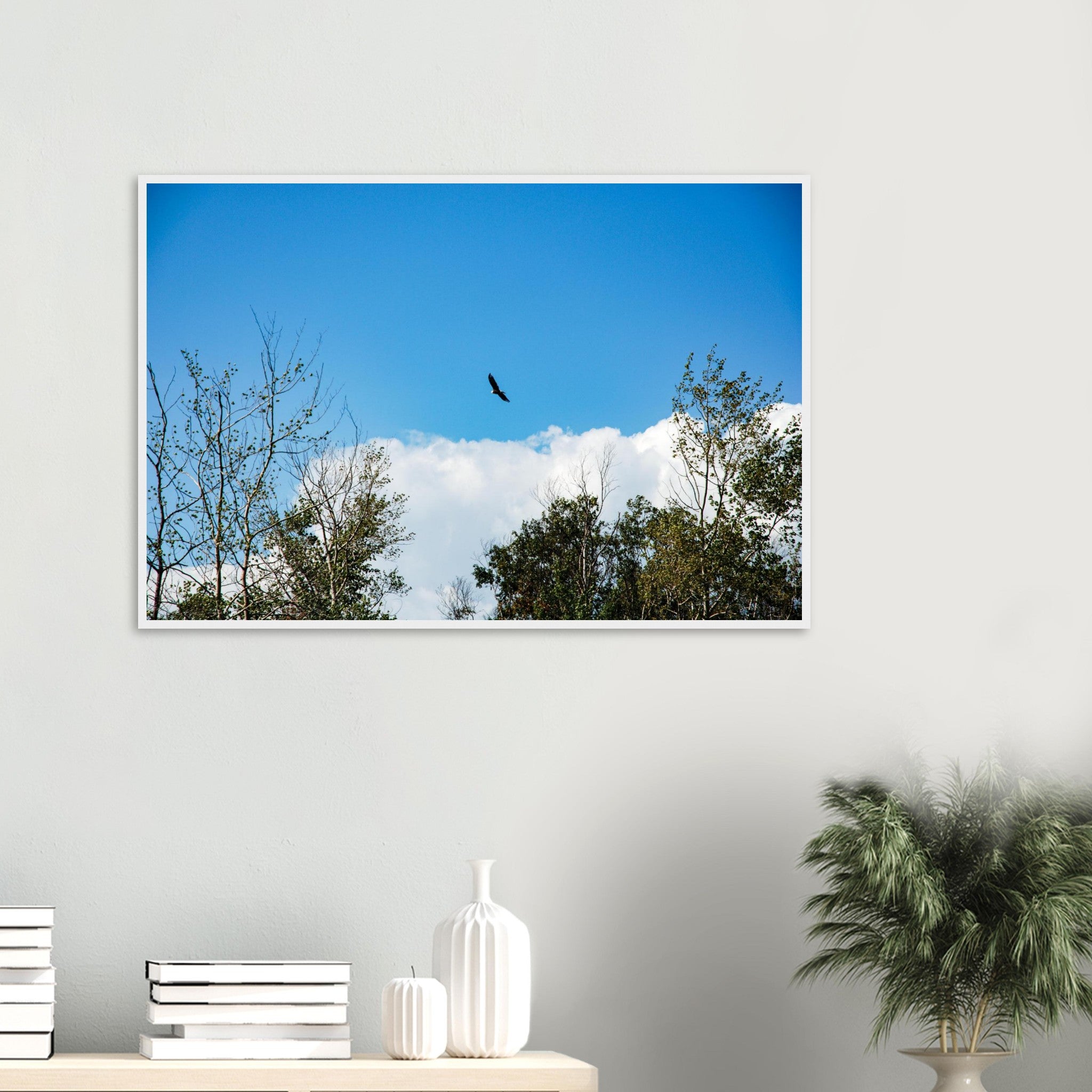 352e0959-1b21-4218-9a5b-ae2847dcb060