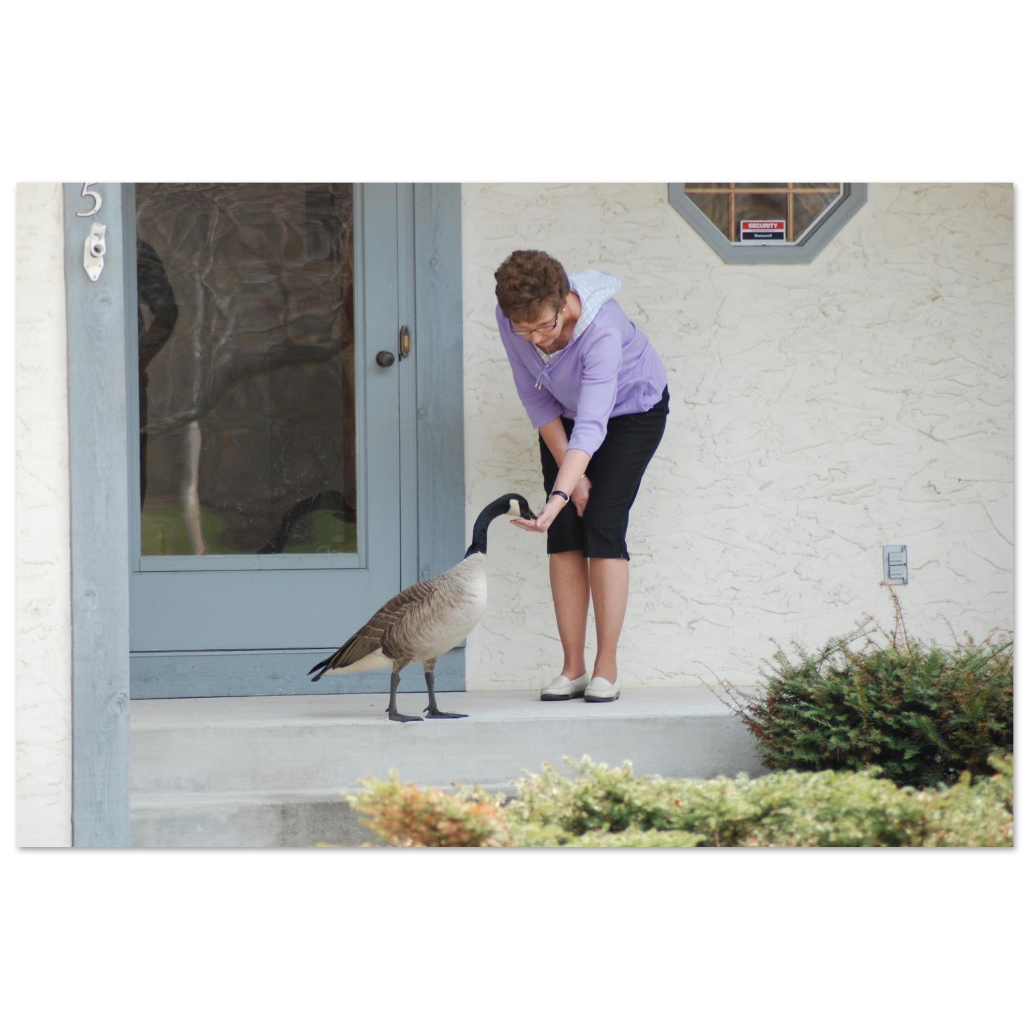 354e2b2c-0df0-4362-a0da-3cdd476c897d