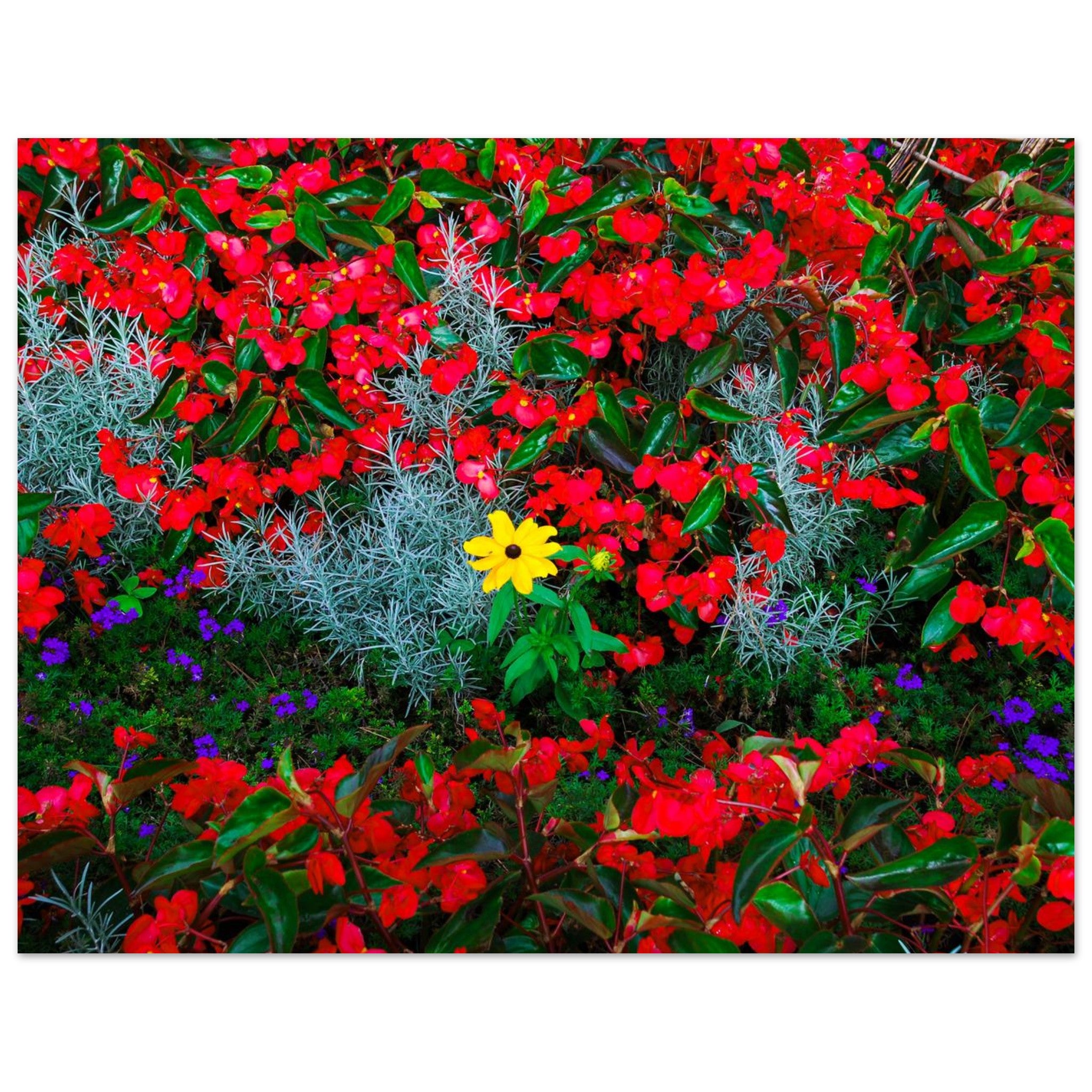 35886281-4454-4e79-985e-3afa9c2d8db8