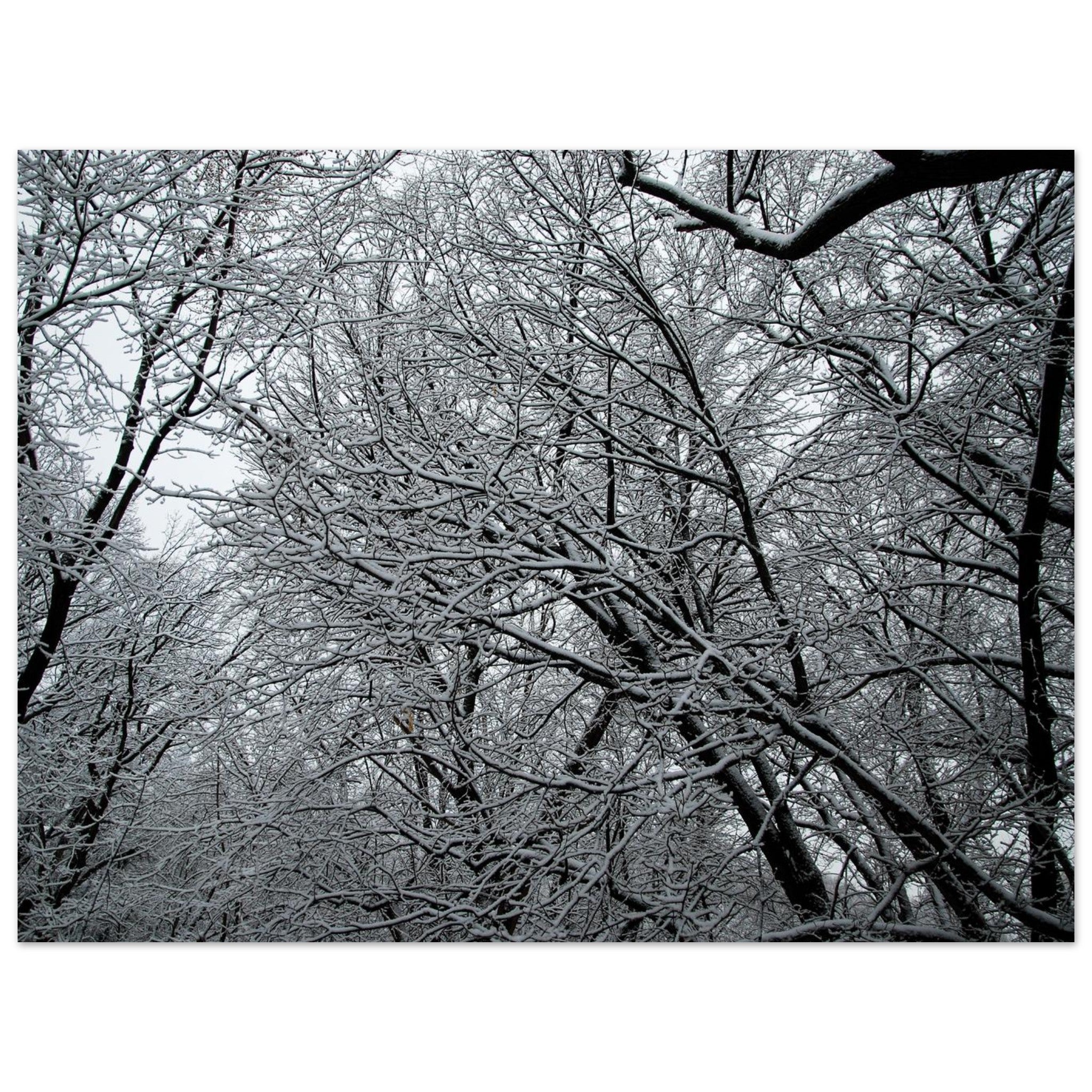 362dbac0-0a1a-43e2-b6b6-b3a752943cbc