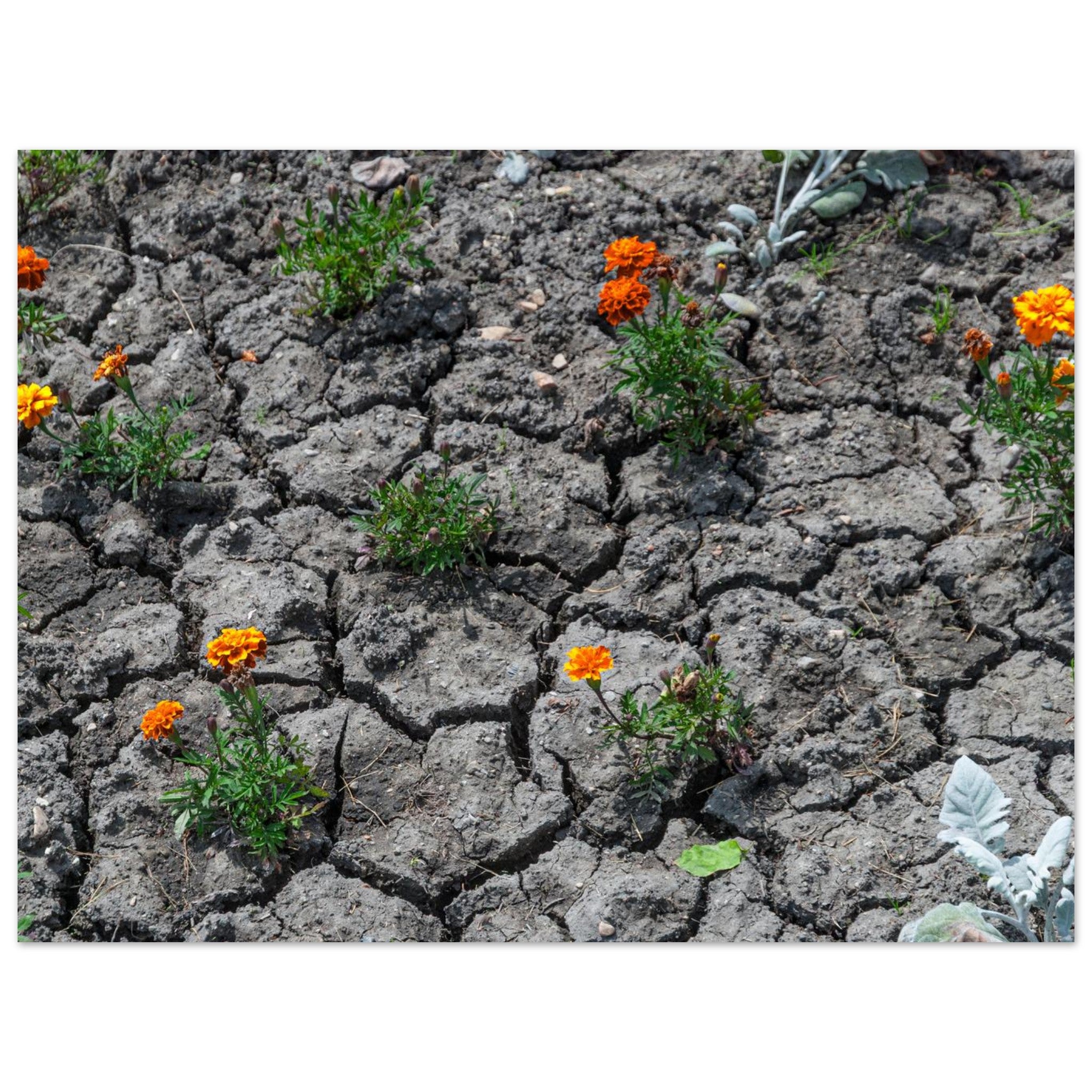 362f19ea-29b6-4f35-a461-2d5c496f9924