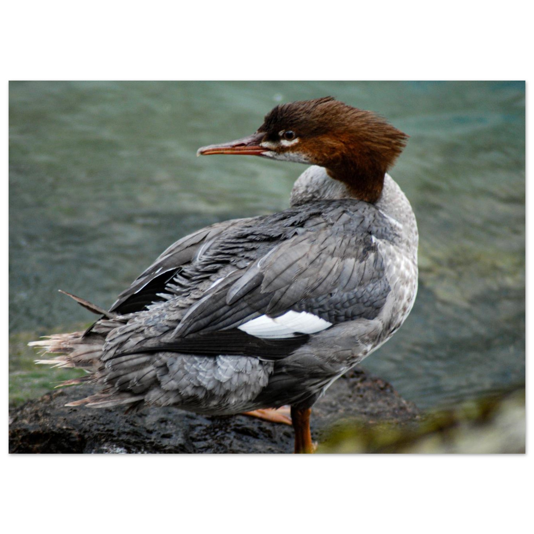 363311d6-052b-4abc-9f38-25303242165f