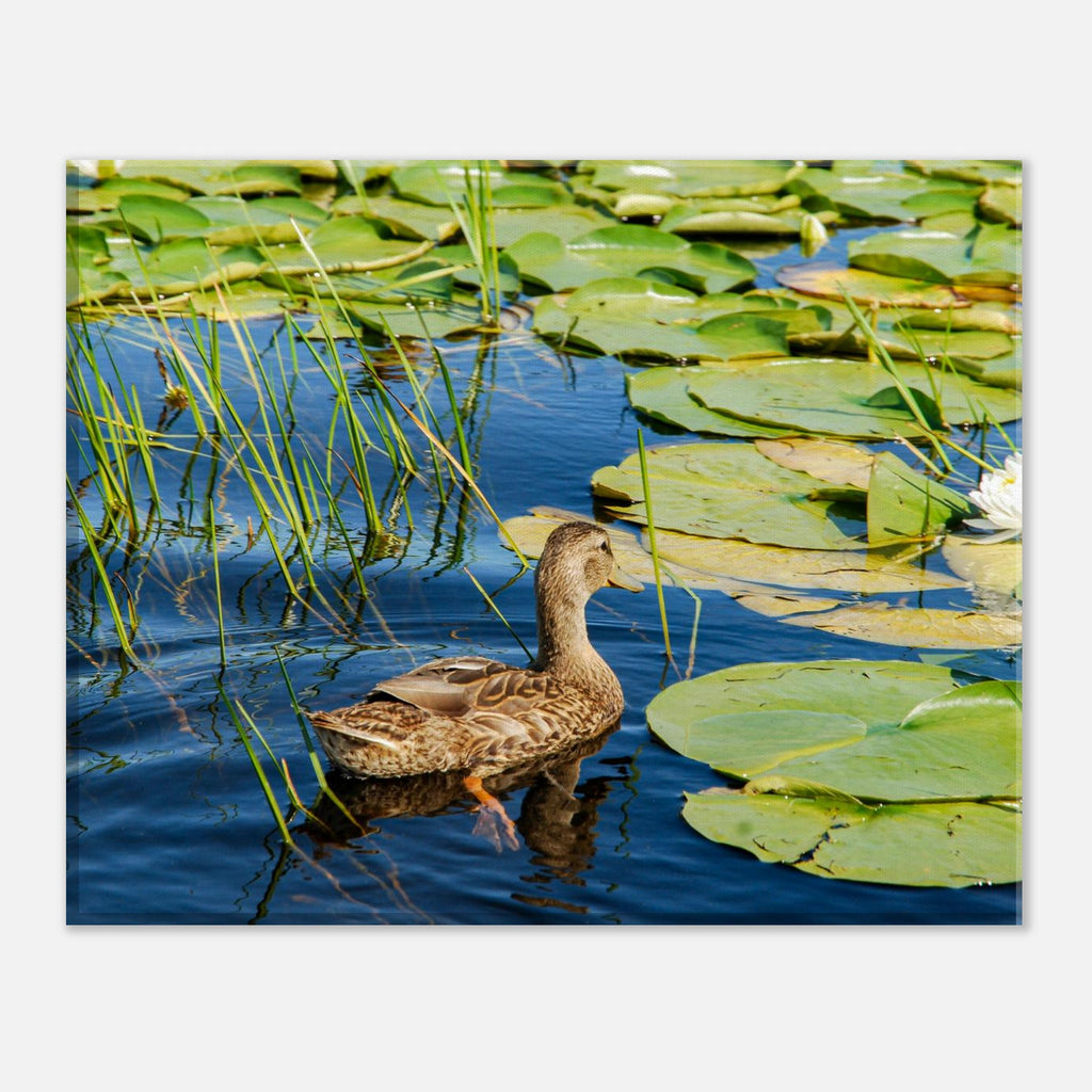 36ffe453-0c1f-4194-8169-0ec2a1500a82