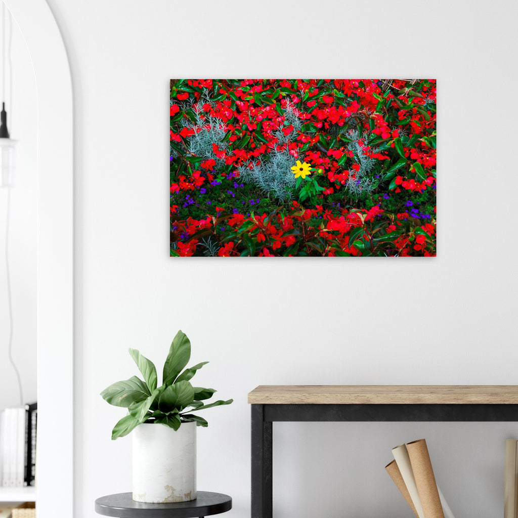 3a72d313-fa8d-4b02-bc3d-a56566b53fec