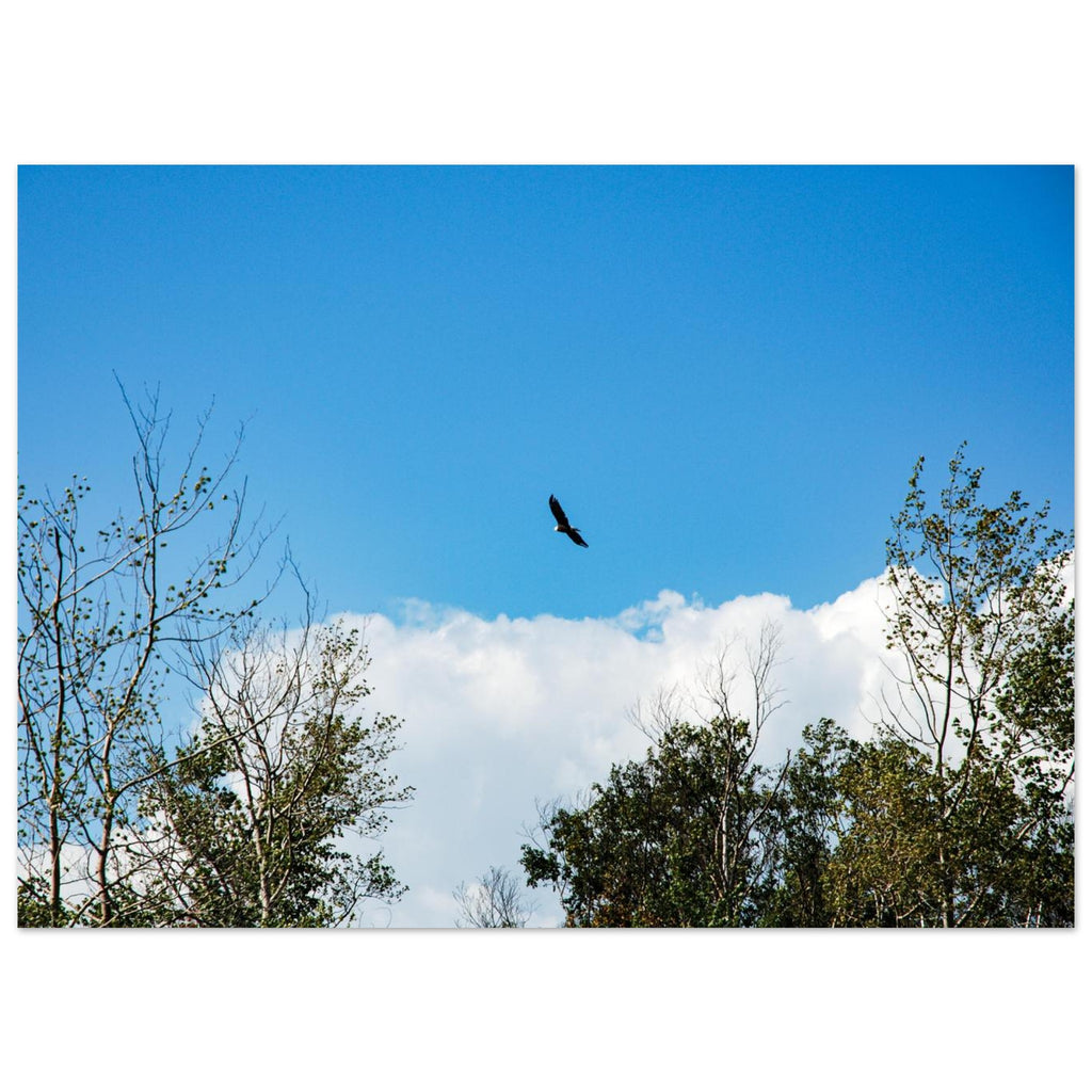 3af20ec1-10d6-4f5c-942d-77aa25e80228