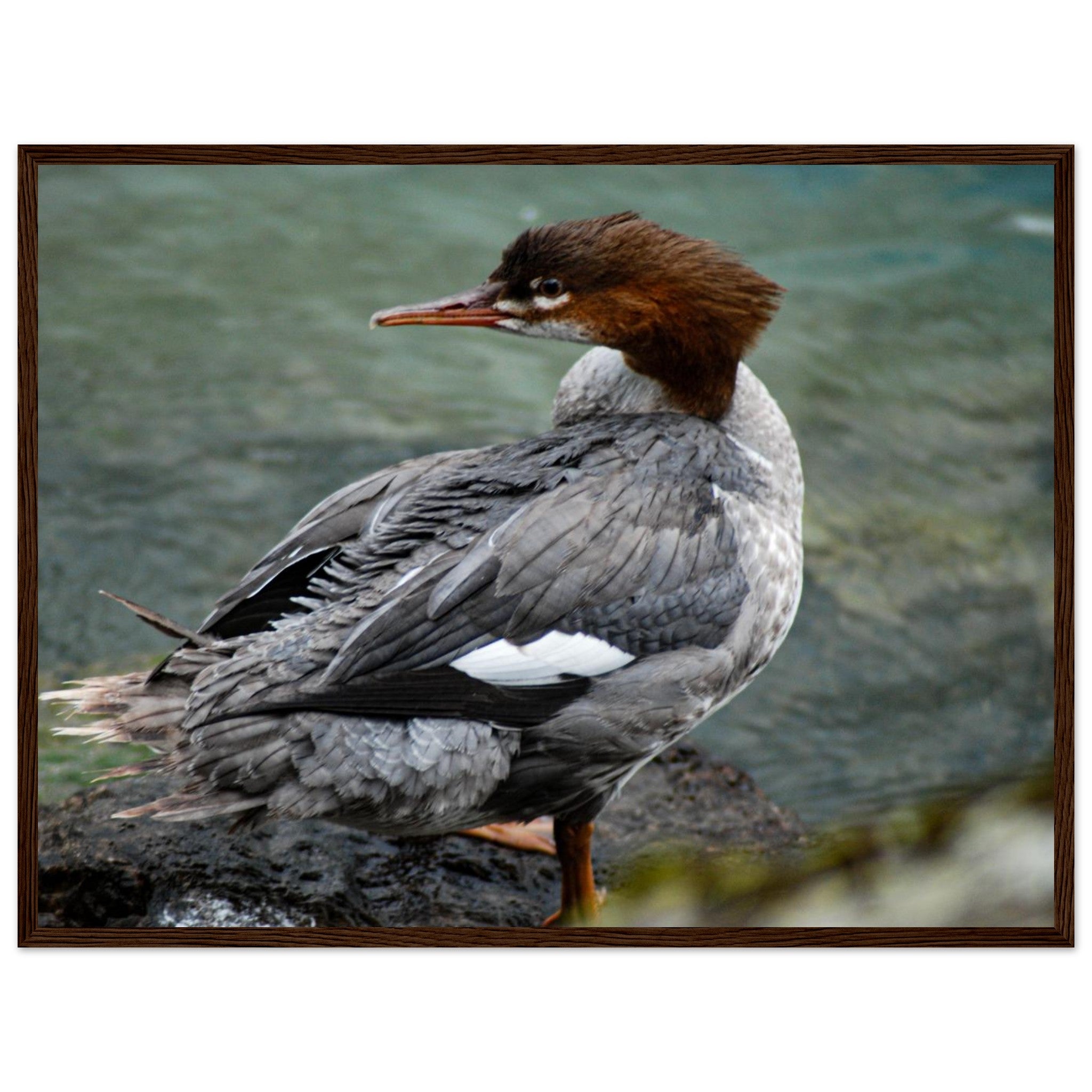 3c08e144-9c6f-4a00-97cc-9394f3ff230a