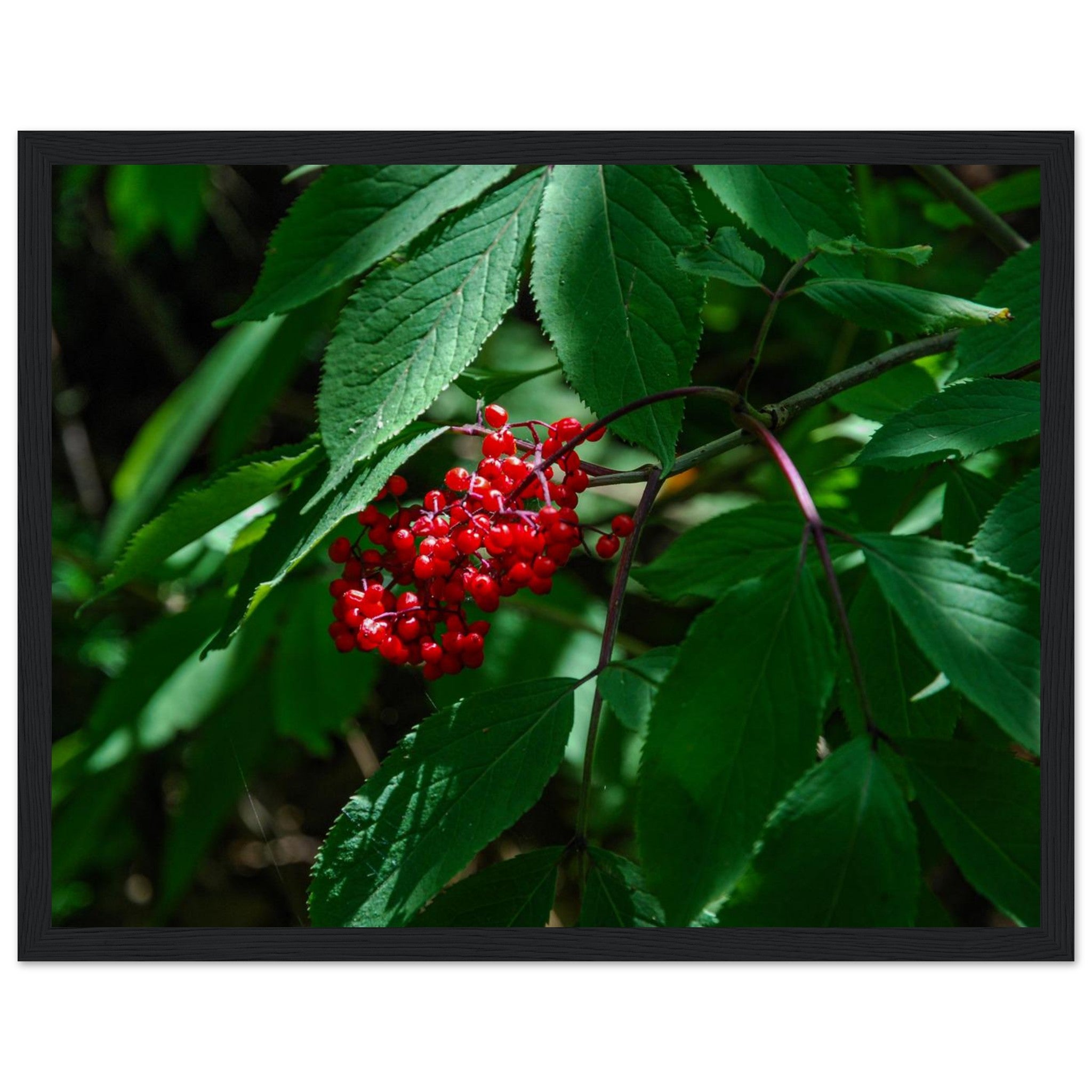 3ceffbf2-ac2b-45be-adfa-b95e7ae17ce0