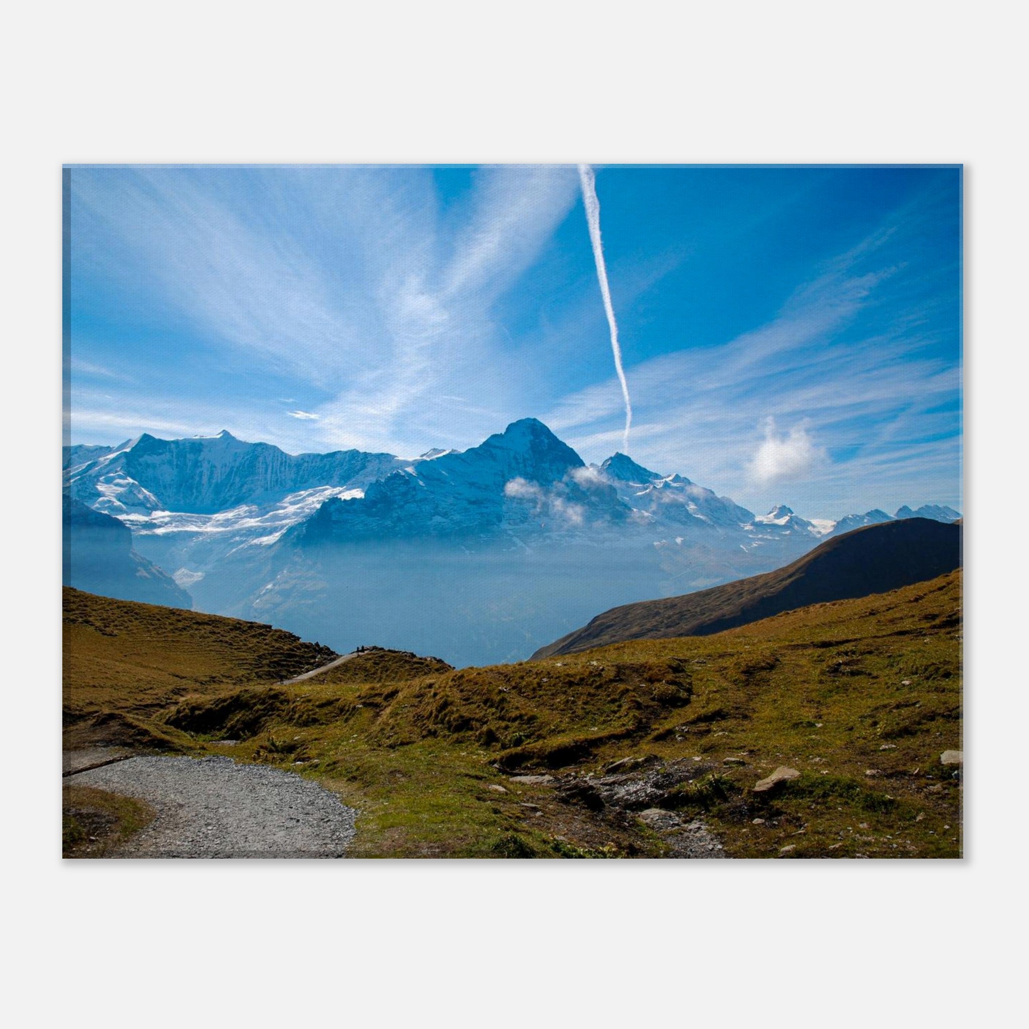 3d9efa9a-0136-4040-8135-765c5427c9a7