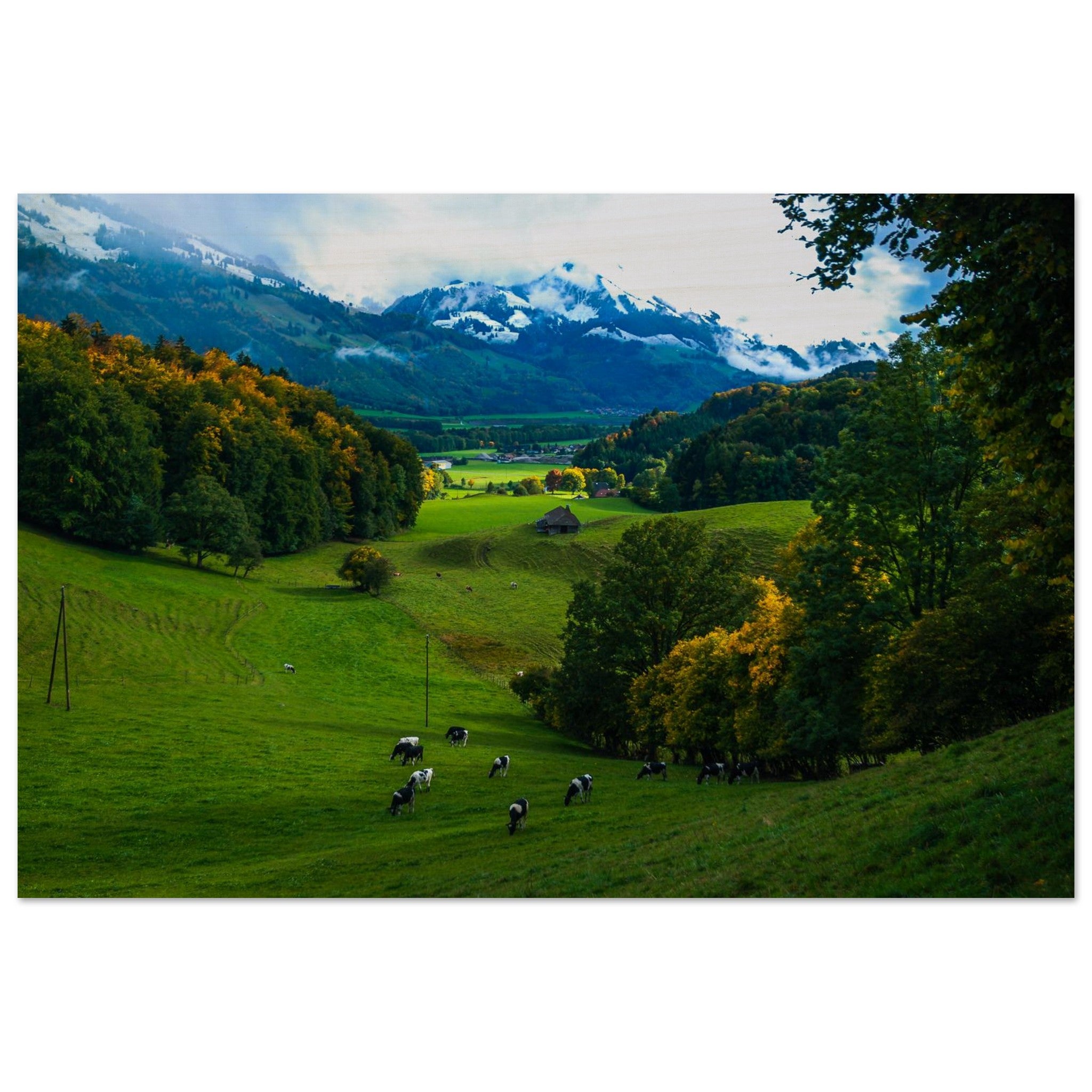 3e60e132-7974-4ede-a96c-5b56f6e0bdc7