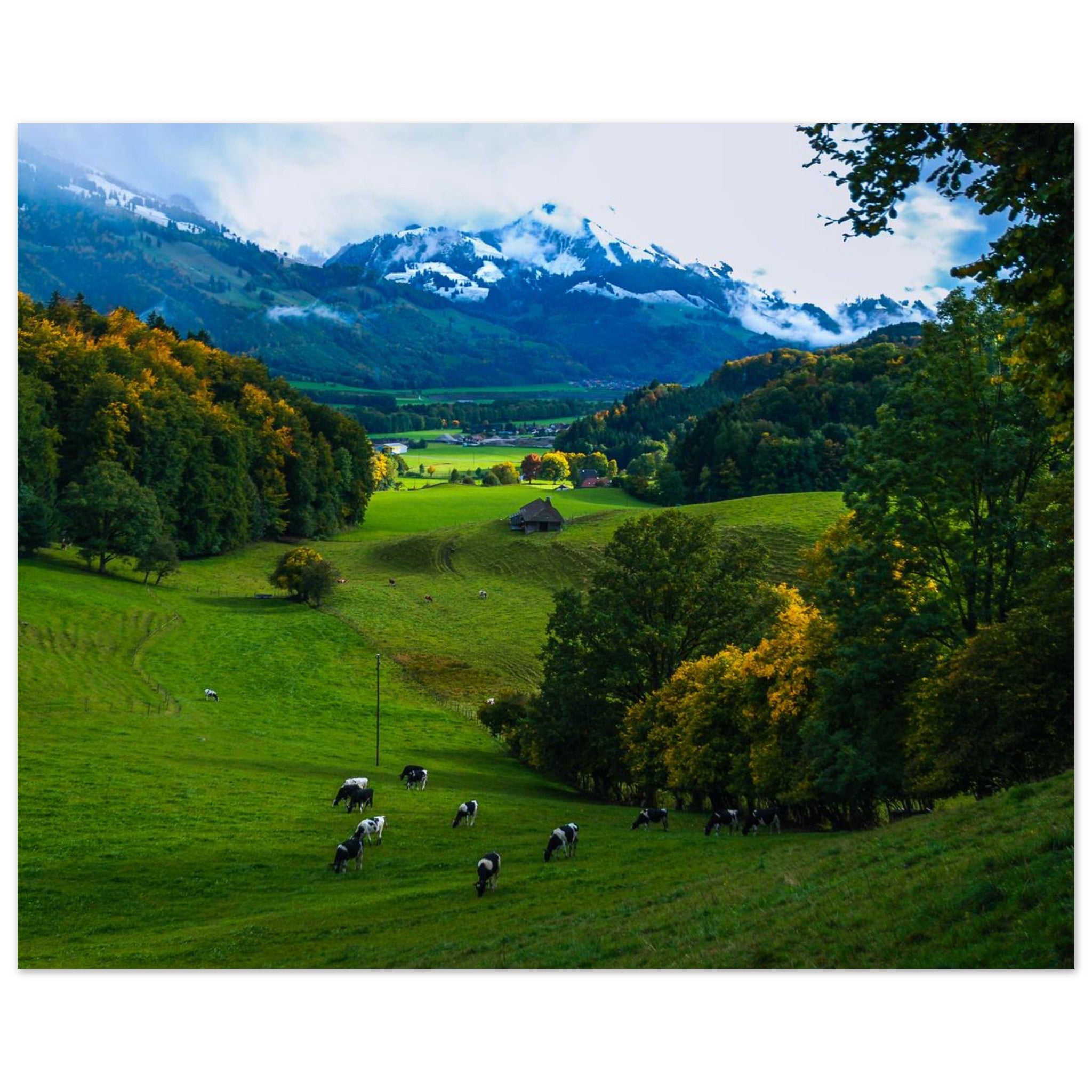 3e767885-e048-48eb-a4c4-cca46e6cfc96