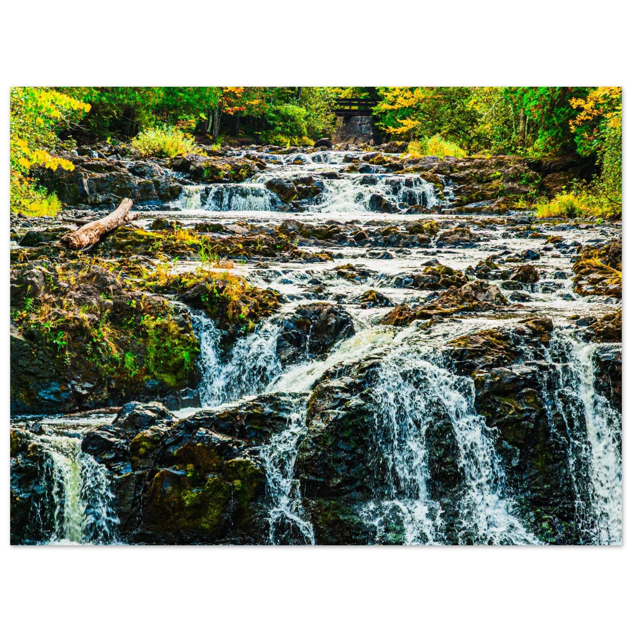 3f85e2ec-b1fa-42b7-8fc3-0e3f7d4e0733