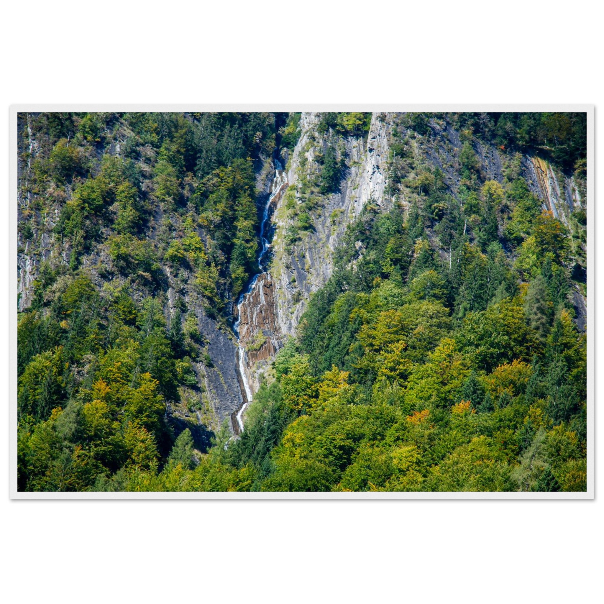 3fc3600a-f081-47c7-85df-896b637cfe2c