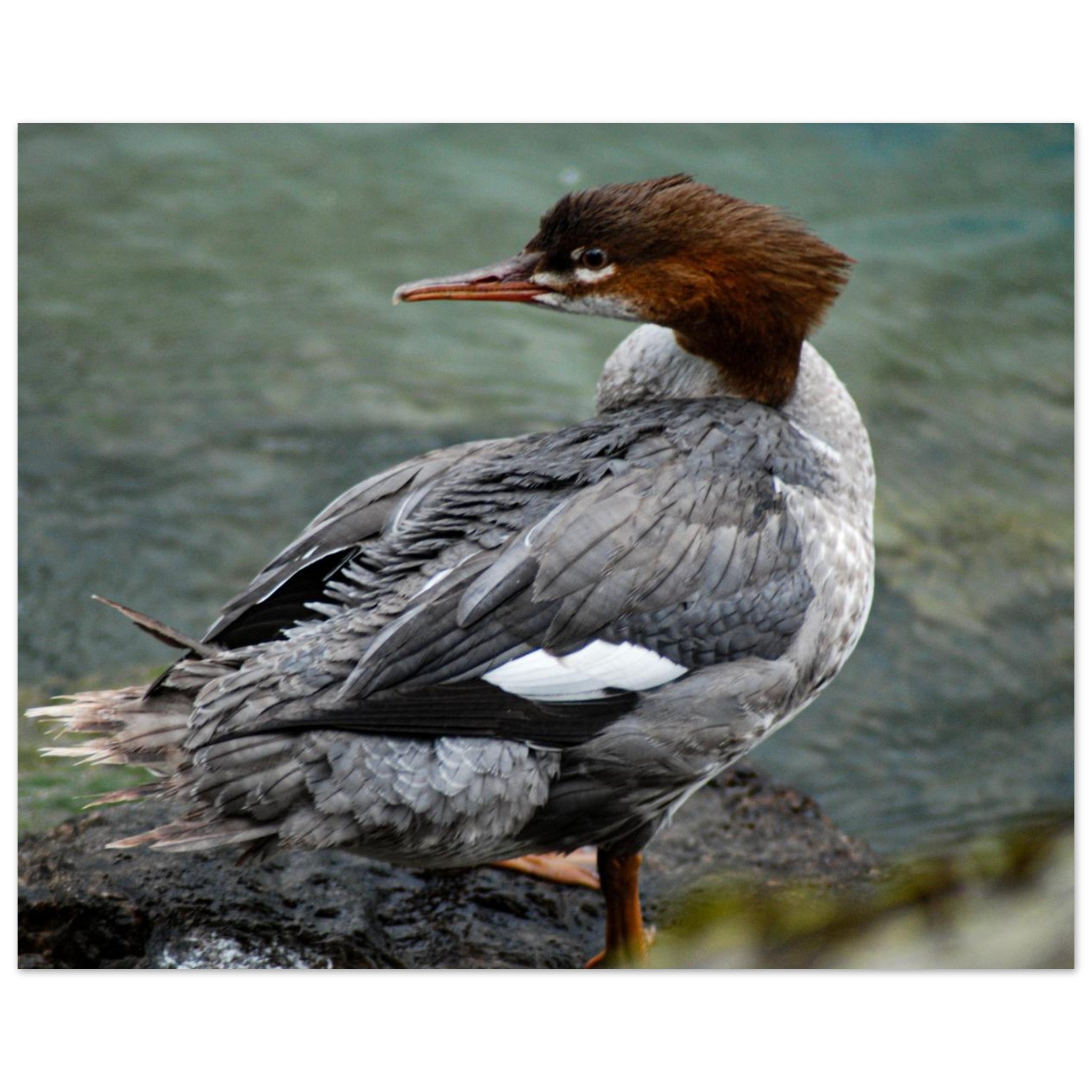 40195b3e-e494-4691-9066-e2ba2f5e0095