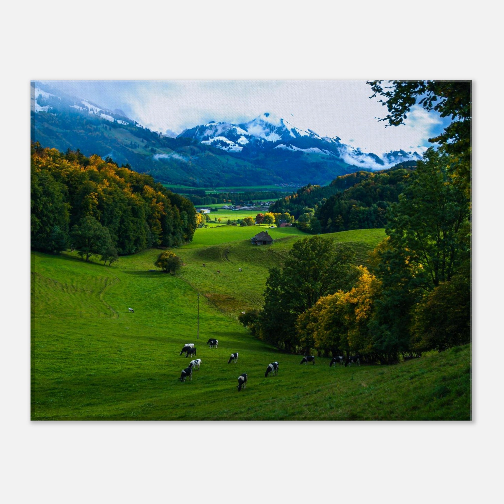 416e6e73-82d5-4b88-b332-2162f4afd32d