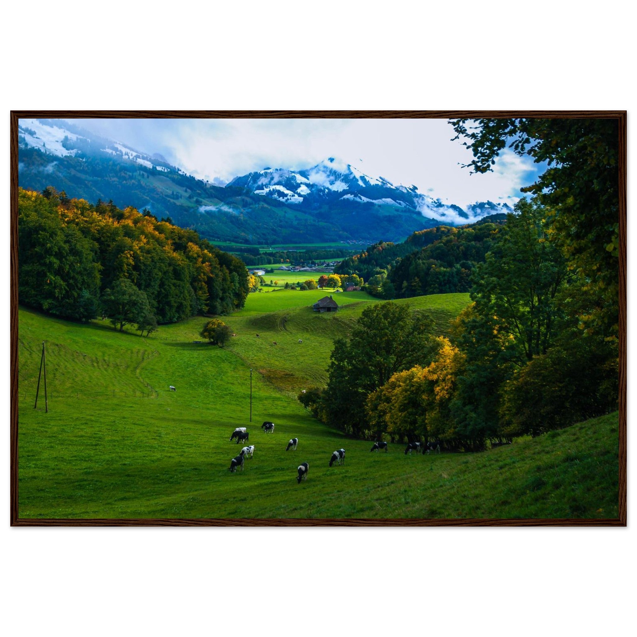 41cff92c-ee88-45f3-80fb-146da9835eb9