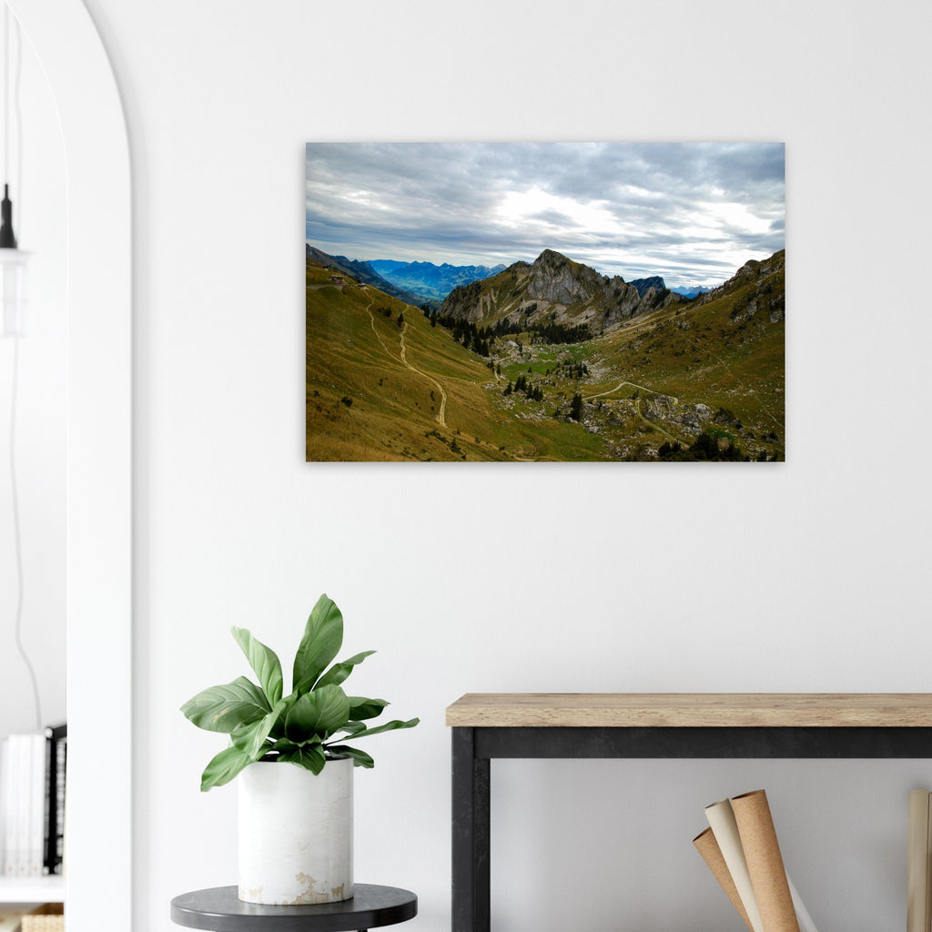 43dd0021-40e7-4352-bb9a-b34d79ad9576