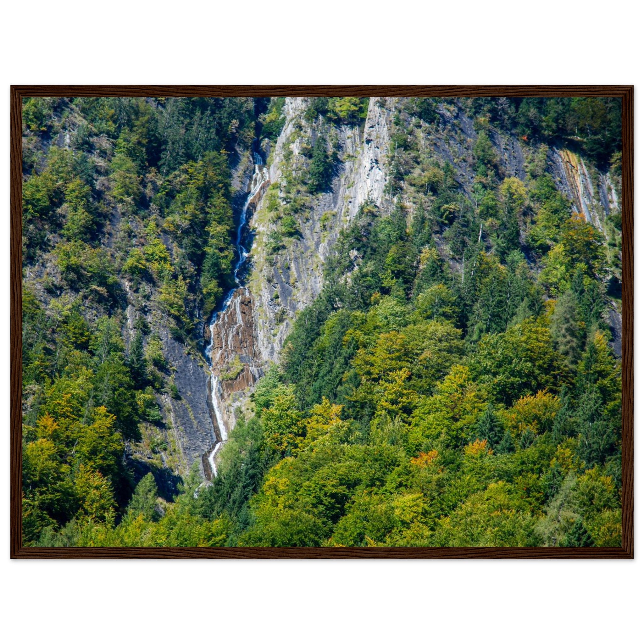 443c5877-2c34-4a2f-88b6-6e20378a05e0