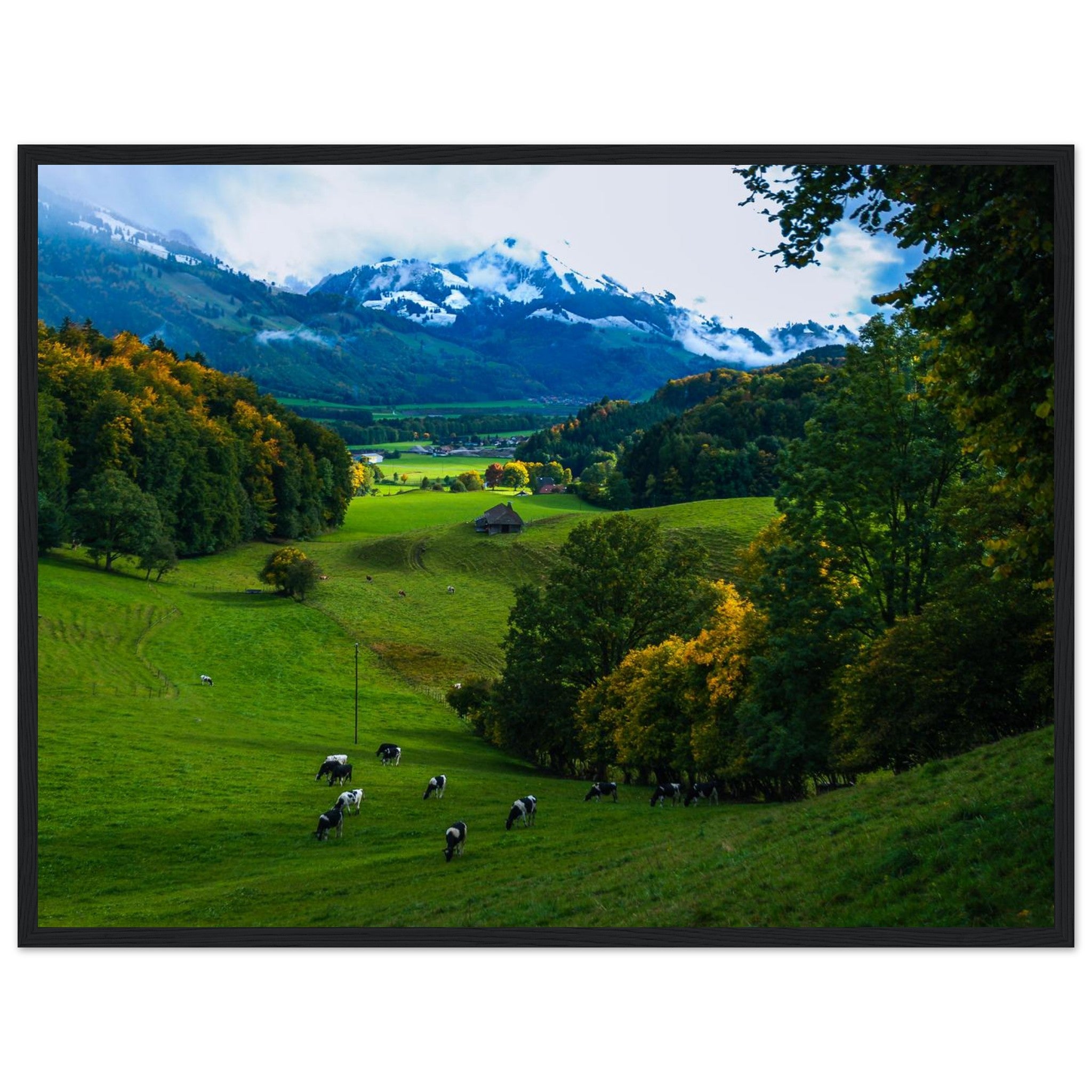 445a5596-0e5a-42c7-97db-c4604bb0911f