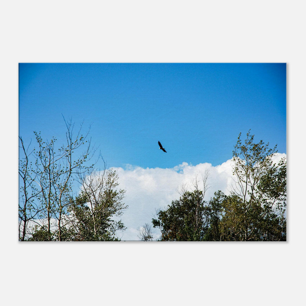 4514f3da-d3fb-4c35-9f96-6a95a4ec03d8