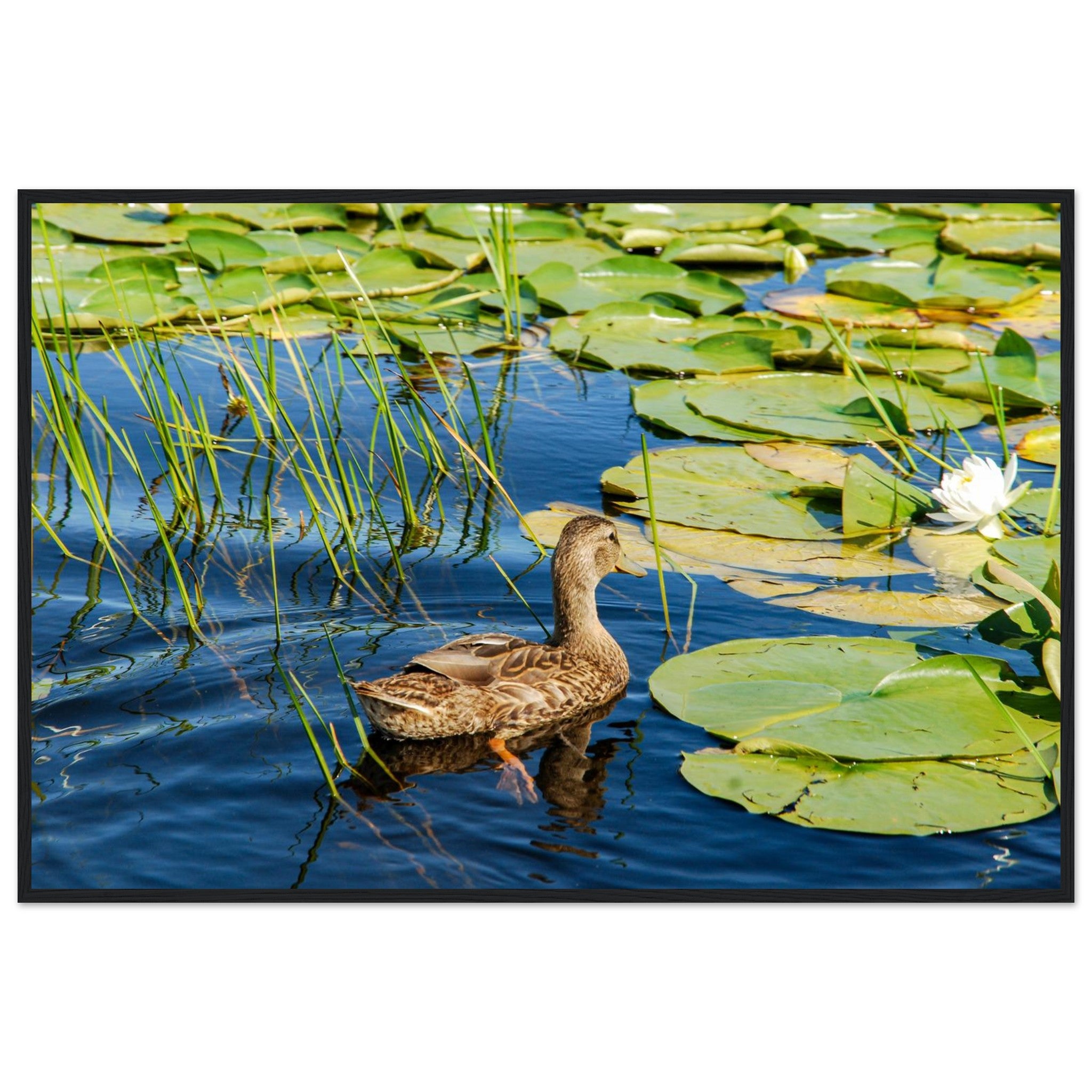 46bf1961-6835-43fb-8c8f-d4a7bf1d95d4