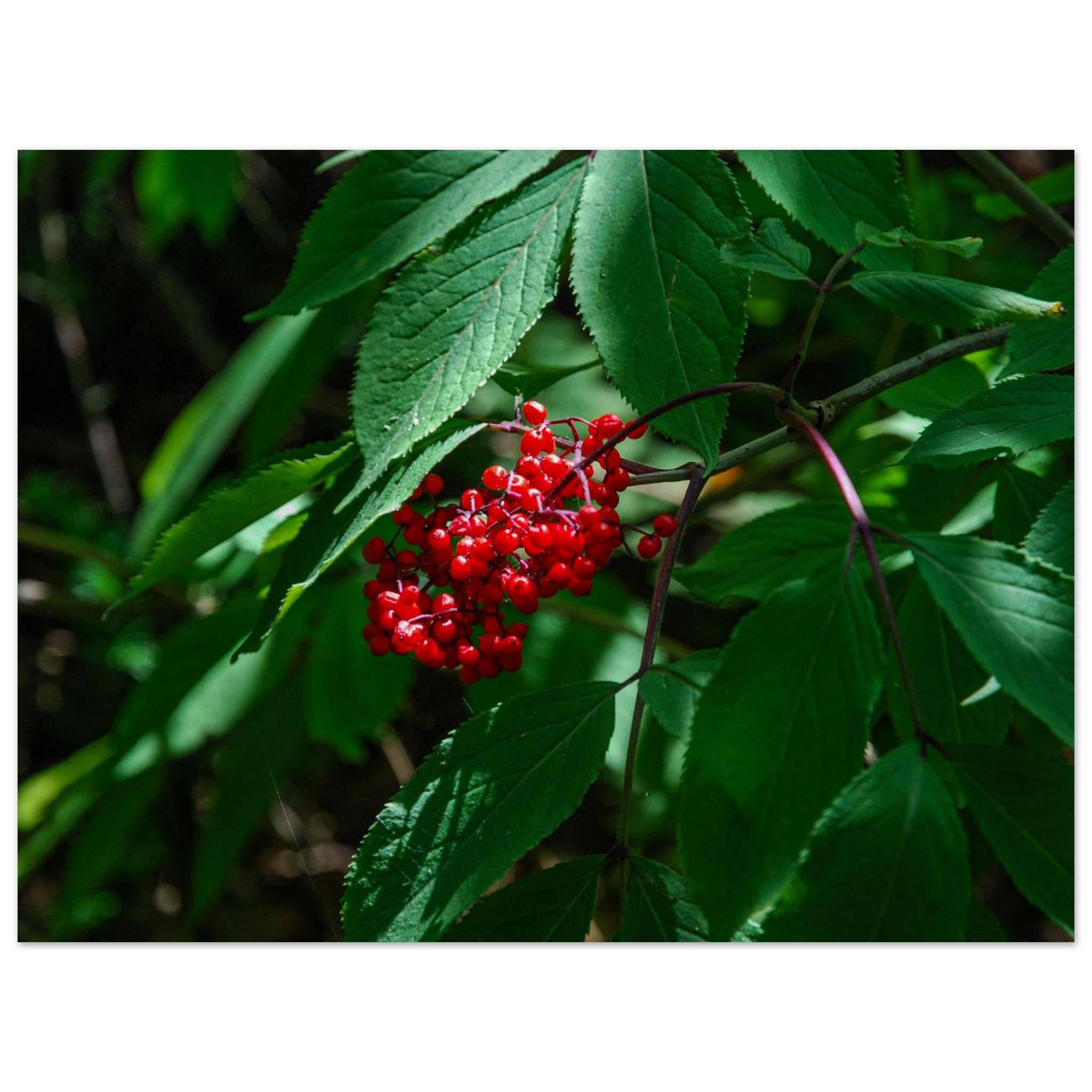 475dd580-5f05-4560-9050-1cc529851723