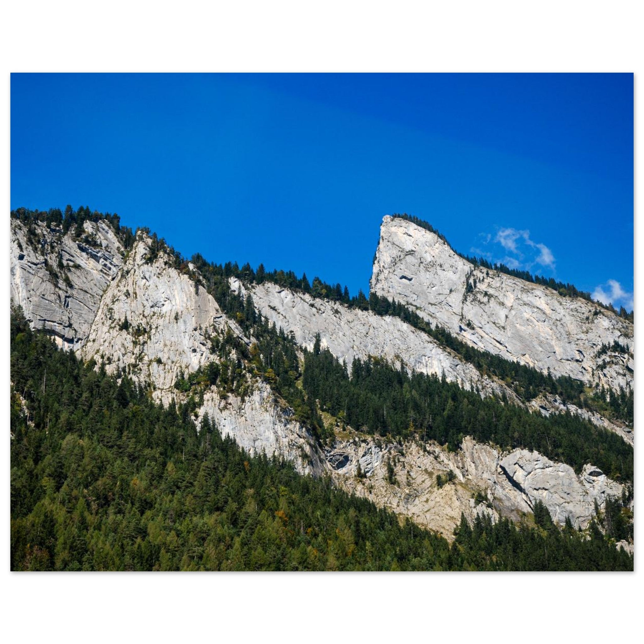 4770339f-9c19-440d-9759-6993140f3d22