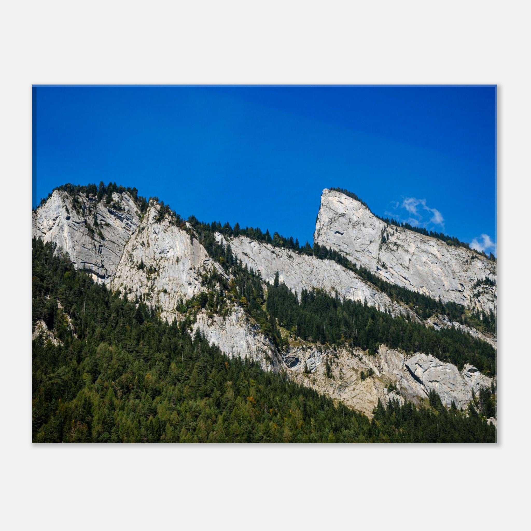 480cc21b-4751-463e-9624-d9b609718187