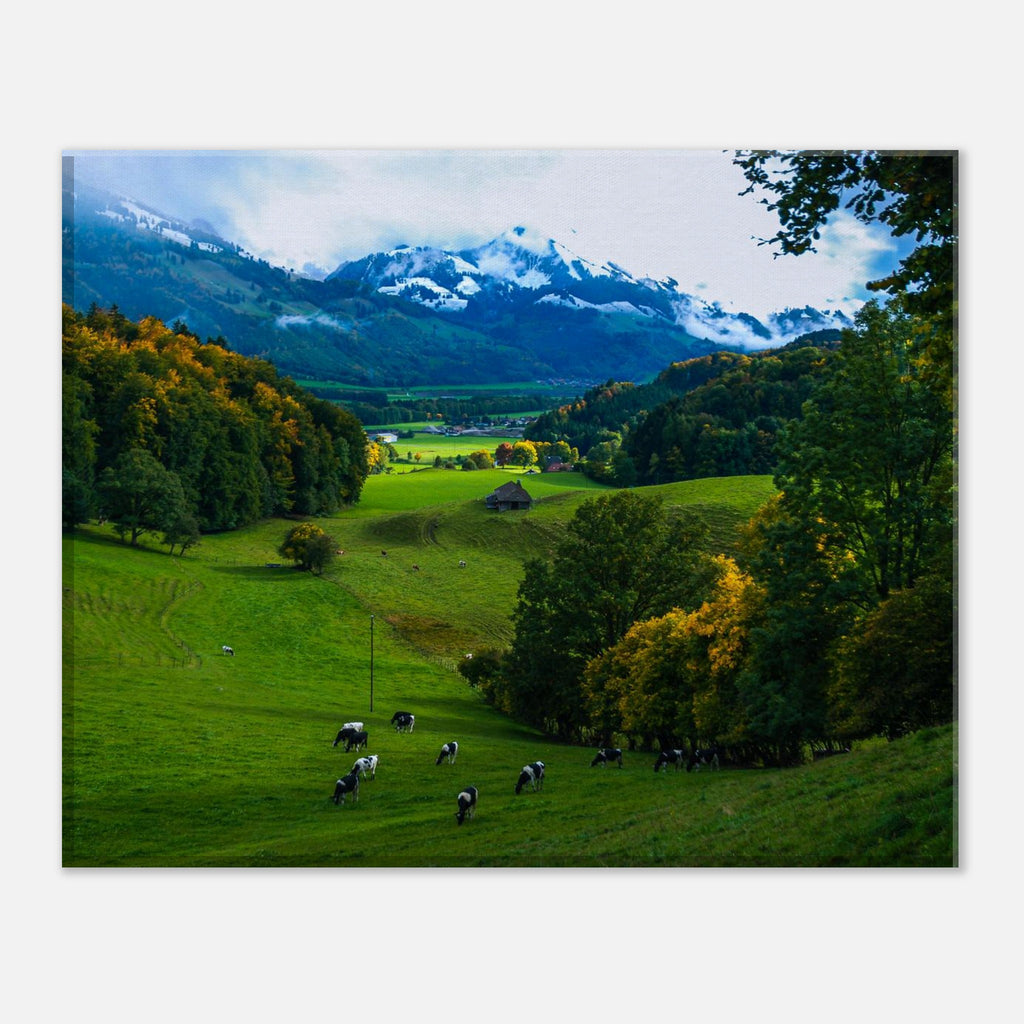 48878304-8918-478f-b293-7ca376d24a72