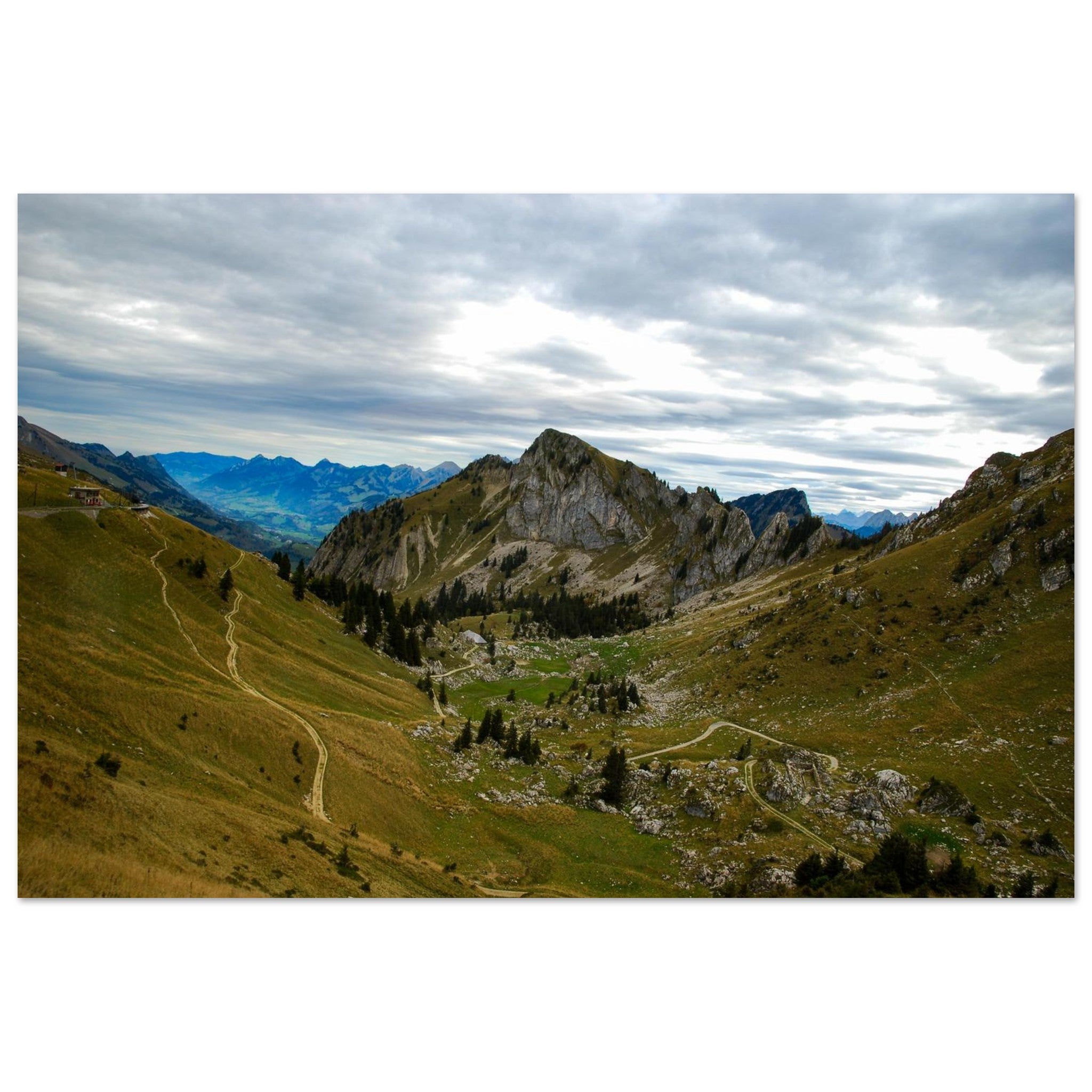 49d133a5-7ef4-4d00-9e90-ab349a18ae8d