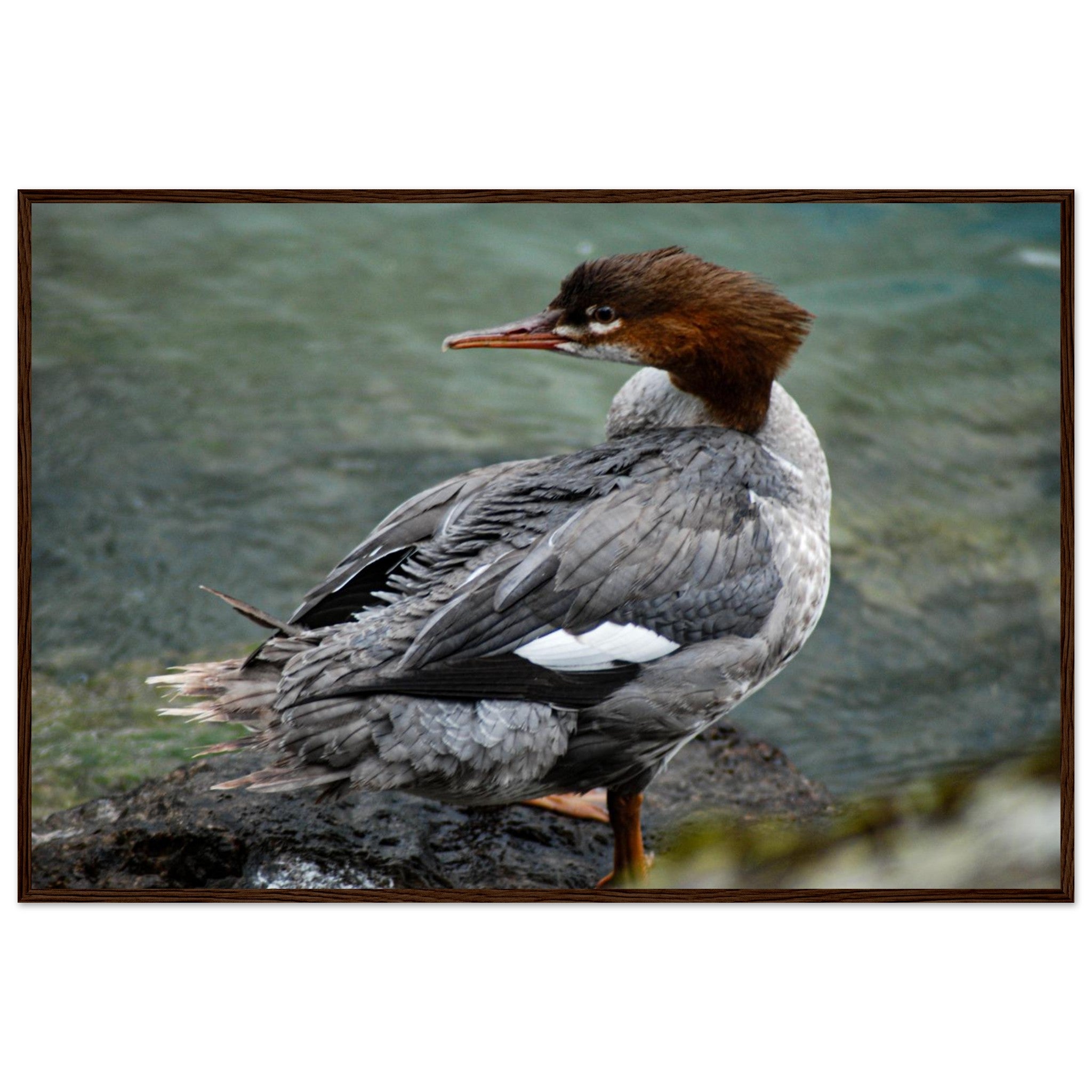 4a23d48d-9273-48af-b7fd-d9c0884624c6