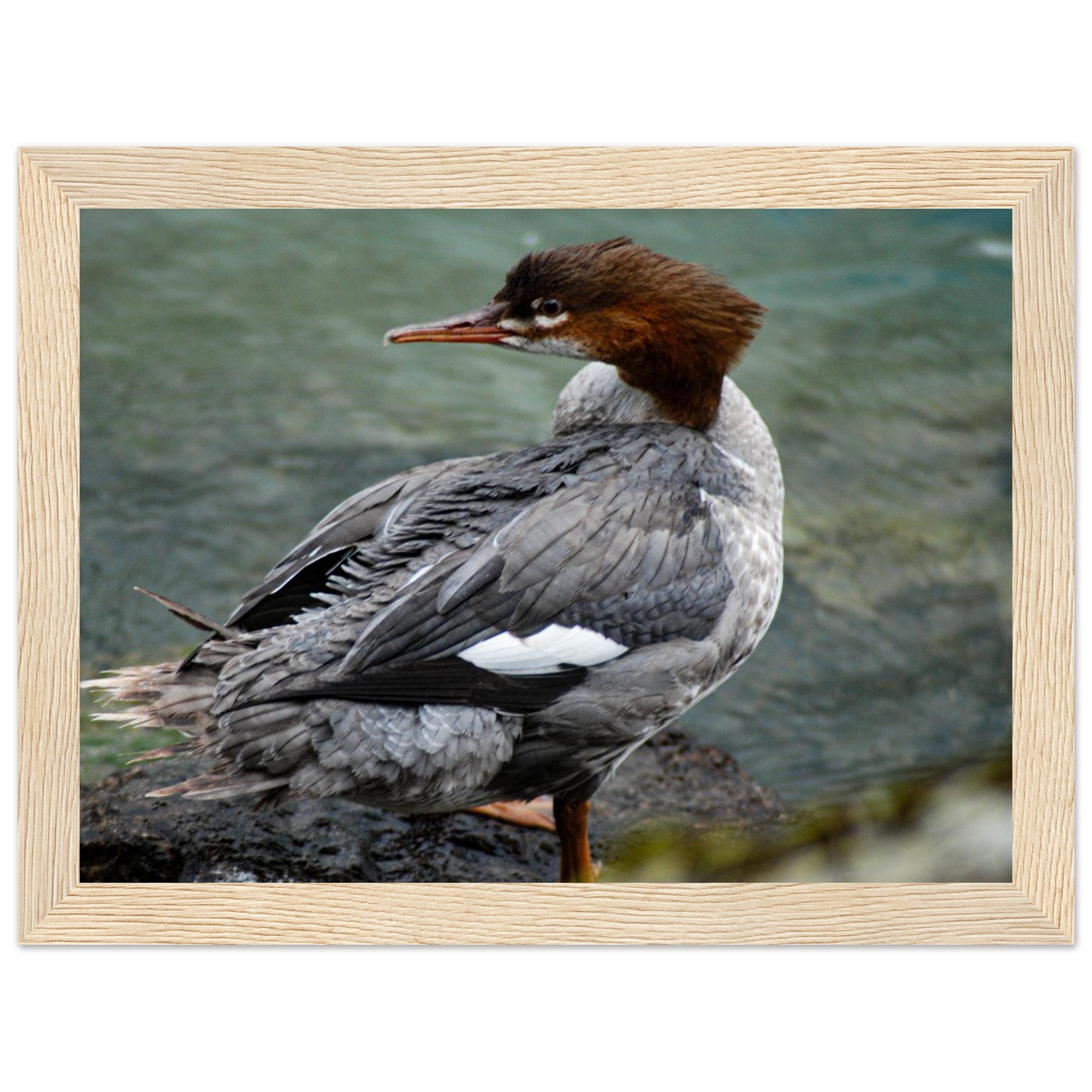 4b5d8461-49d7-401b-8ced-421c3b573ae3