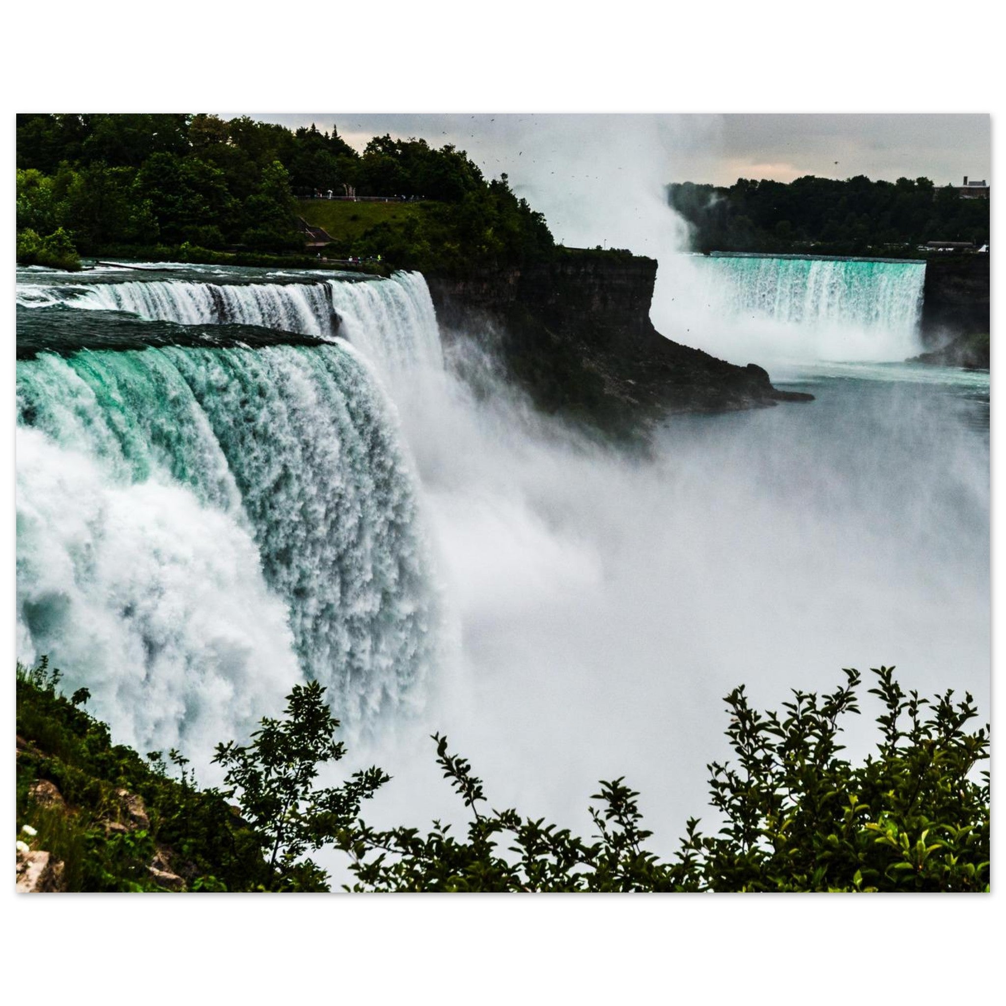 4bf82f44-326a-4017-bd8a-170ce76a18e5