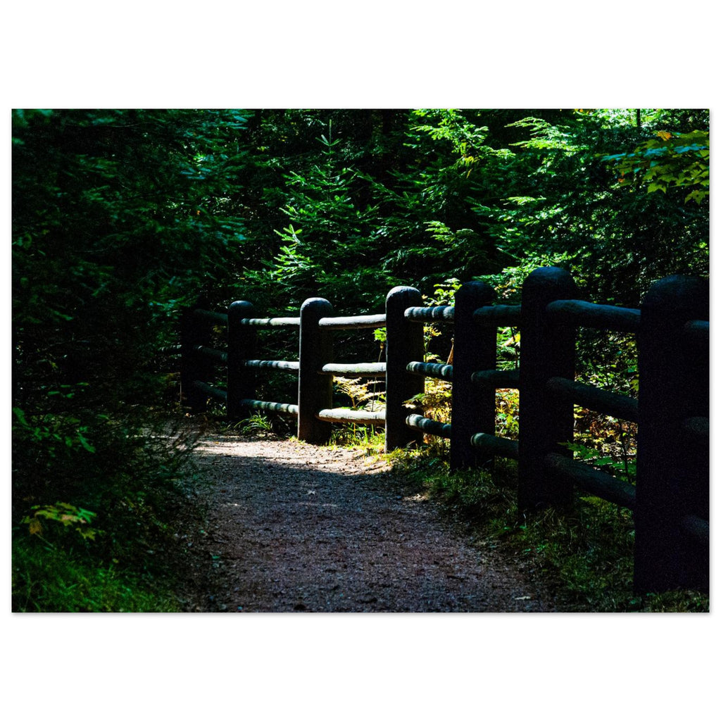 4c6a1f56-ada7-4336-8e43-4247c55e06fa