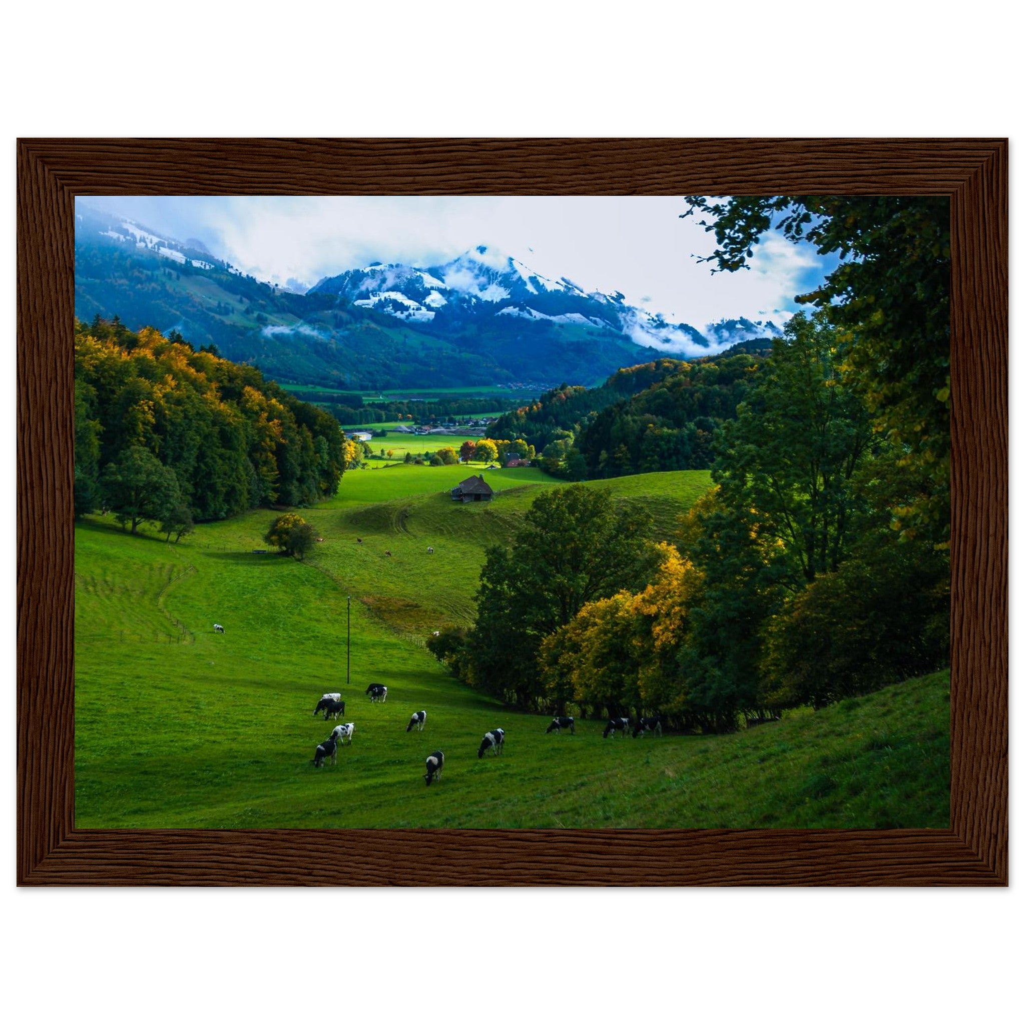 4ddb2d04-4036-456e-8258-77b693230adb