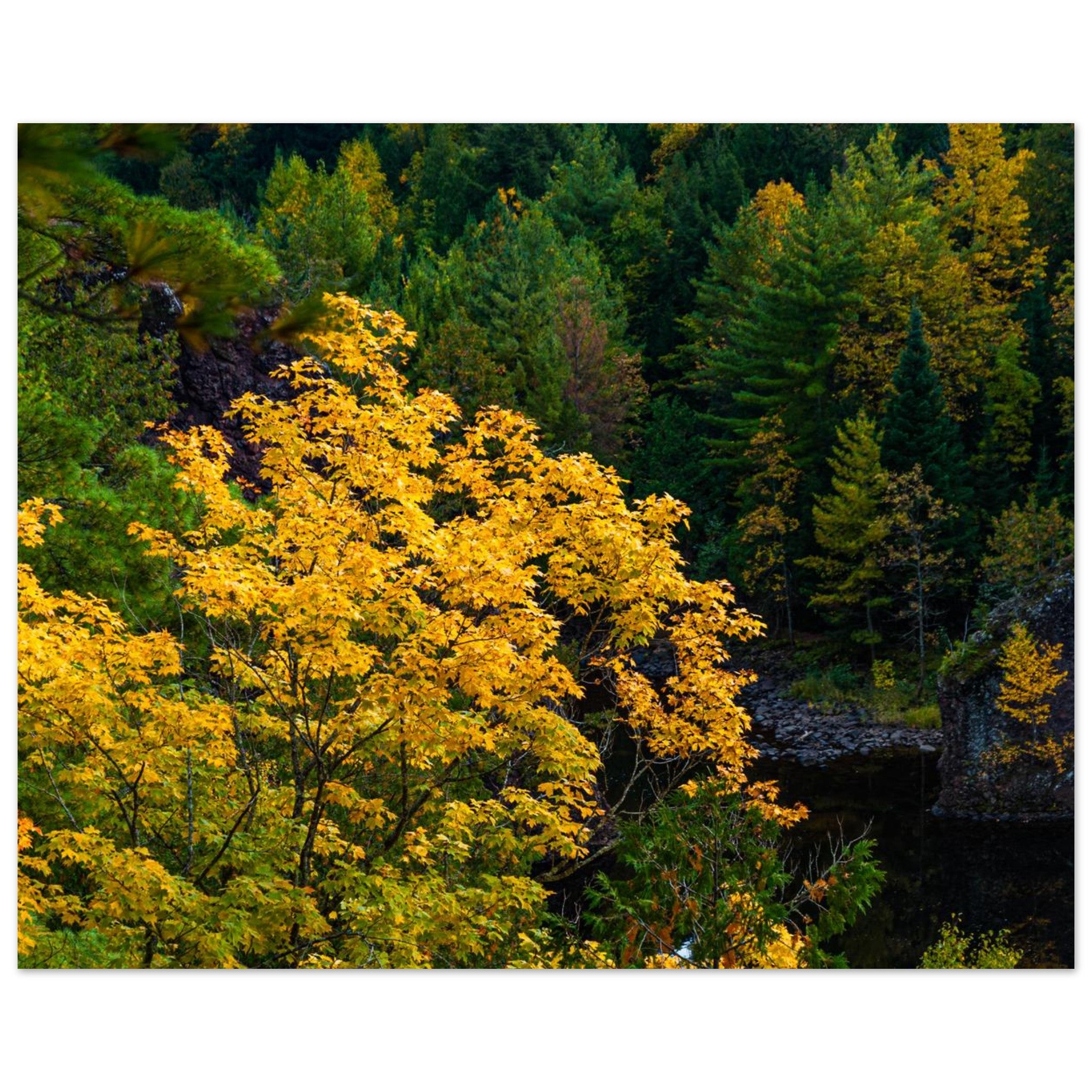 4e6b654d-6fae-488a-b99f-b4e08eca4871