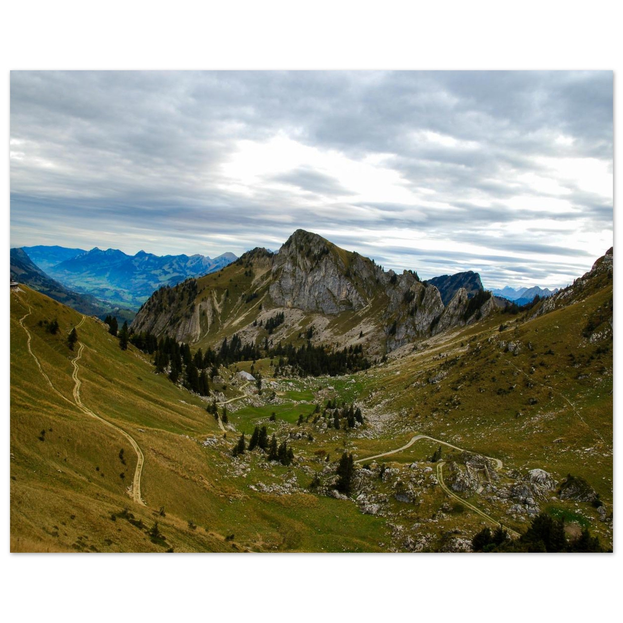 4e7892ed-3f57-470c-9aad-6568abf5e87c