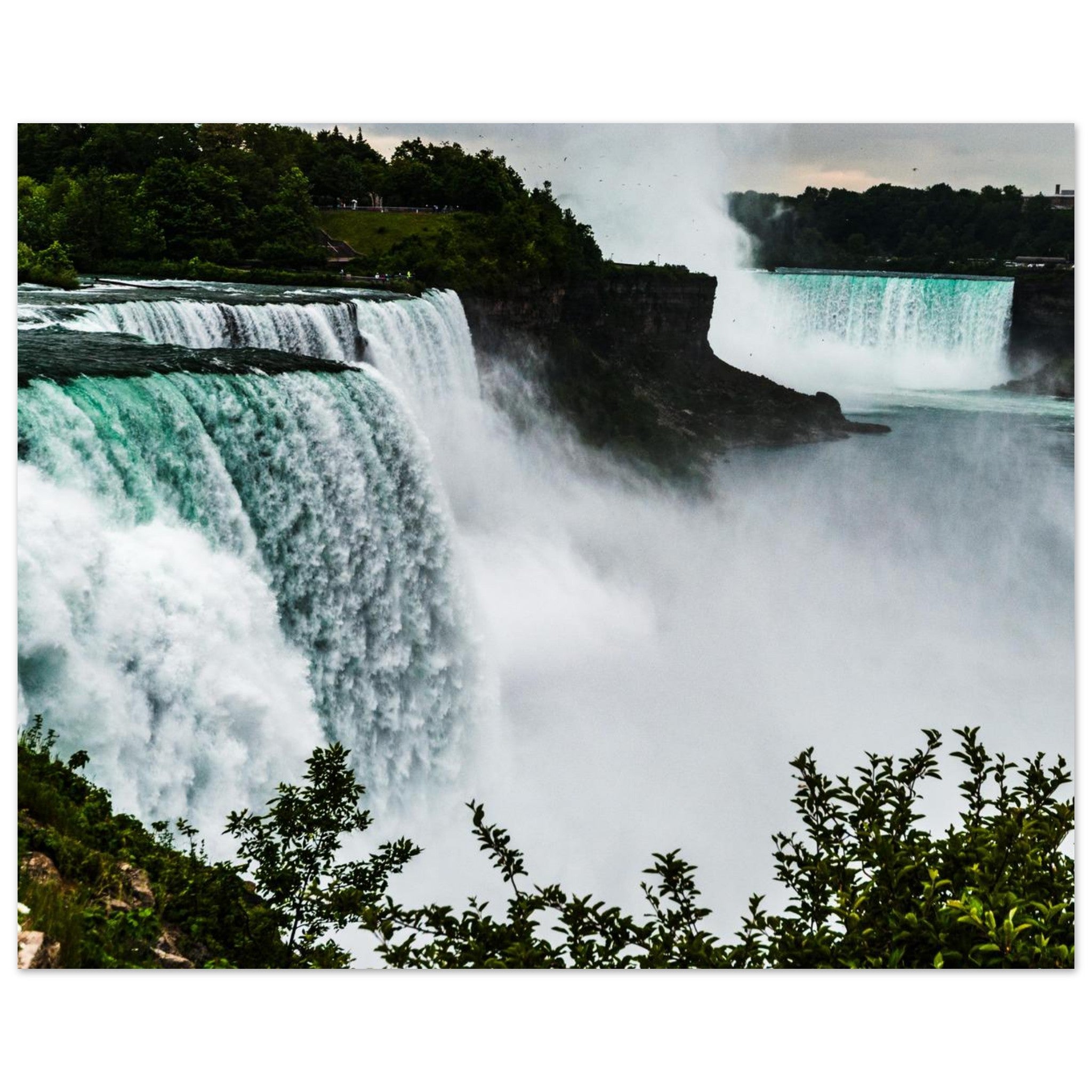 4ff71701-a591-4daa-8a0a-b6cfe777fac1