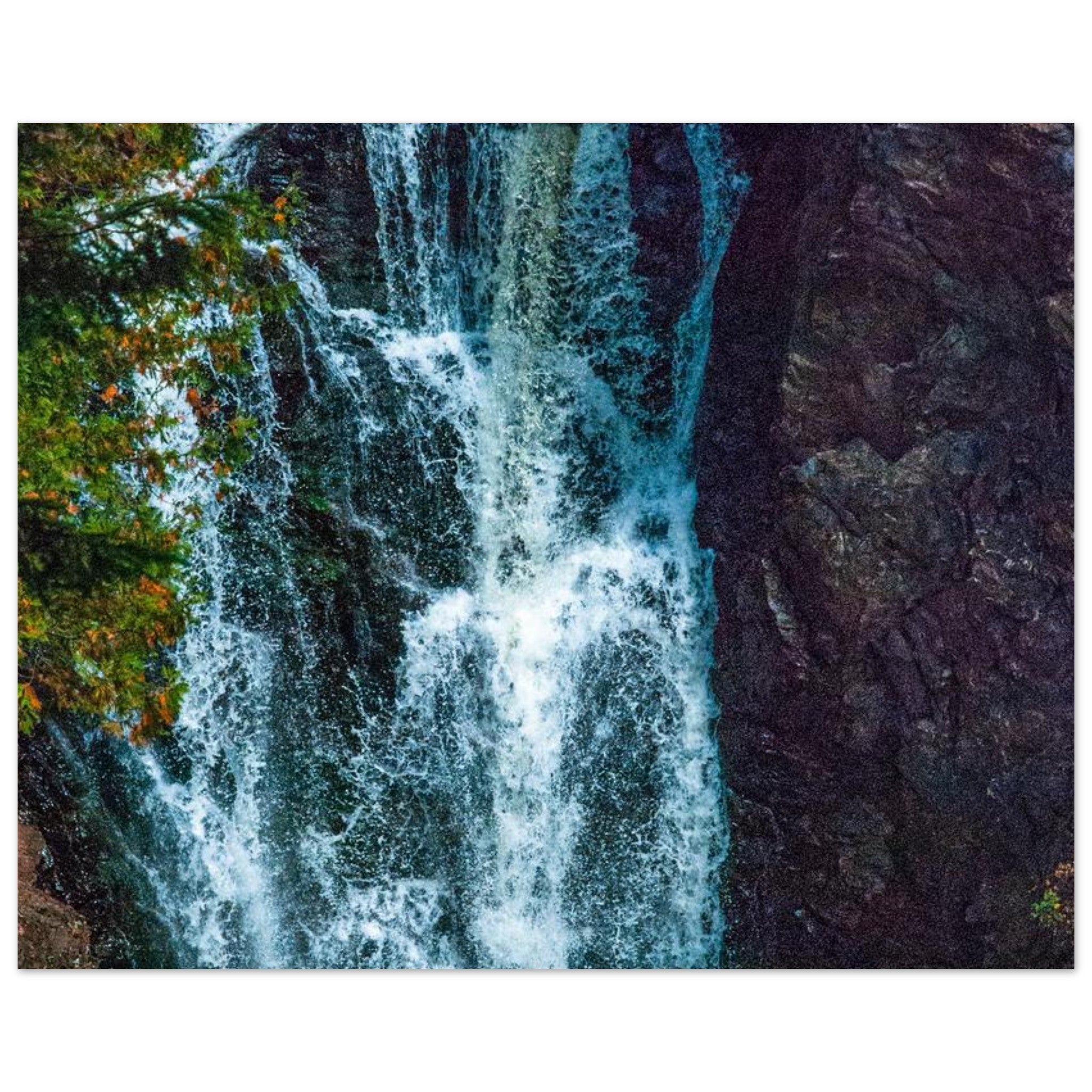 4ffebf93-ae82-47b7-92ca-b61df2ba6870