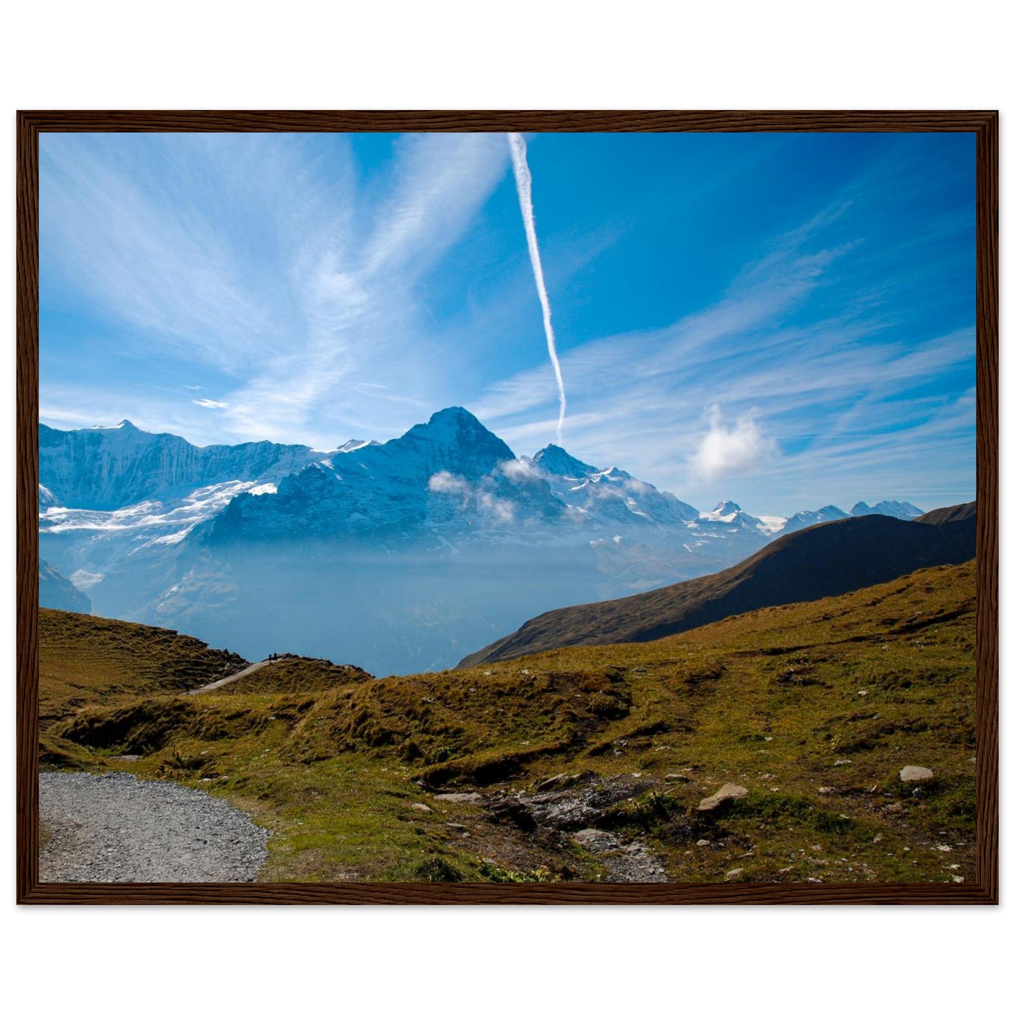 50352ad5-8230-4708-9c38-2a53d1b5718f