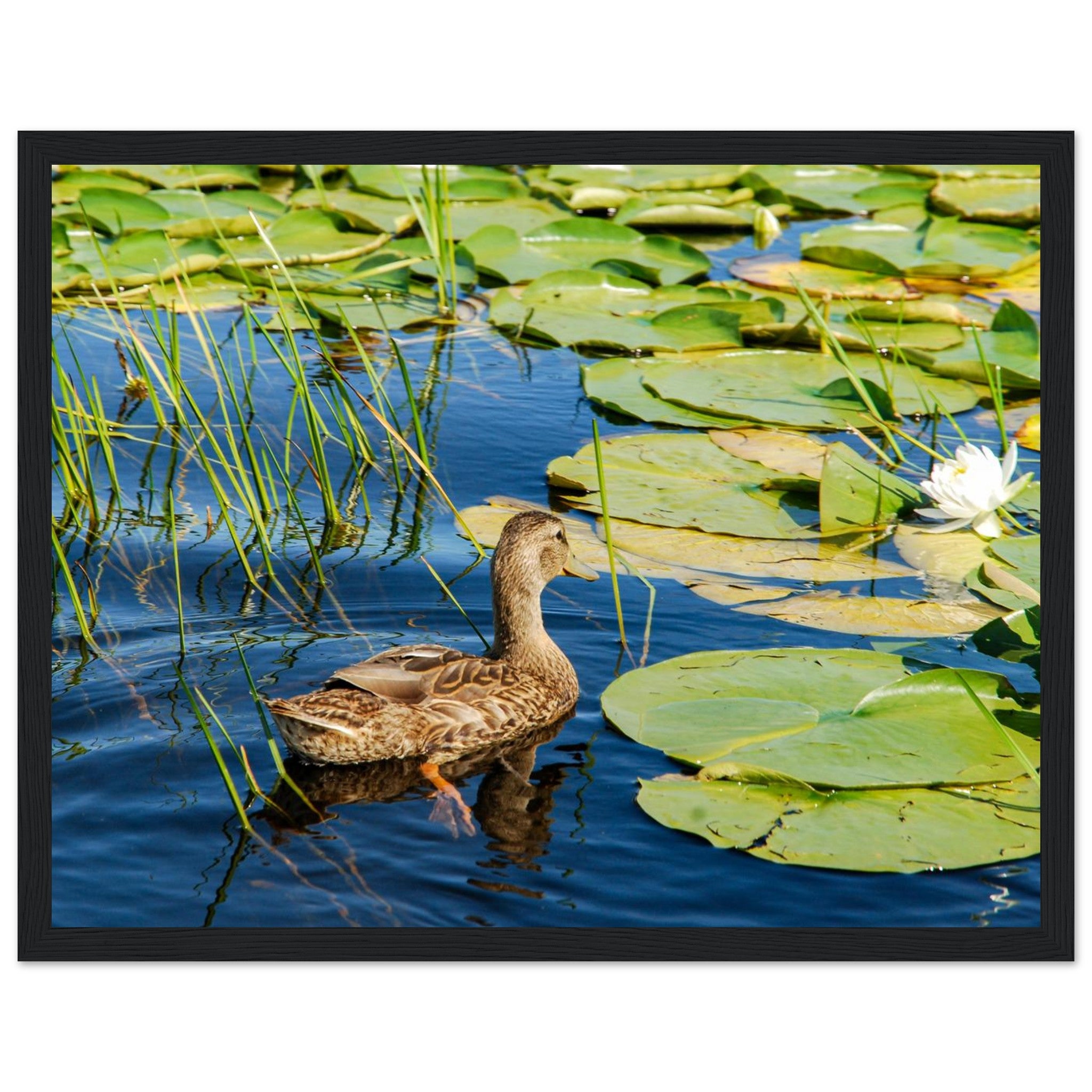 513bfc2d-0970-4569-bc4f-1ef346578c11