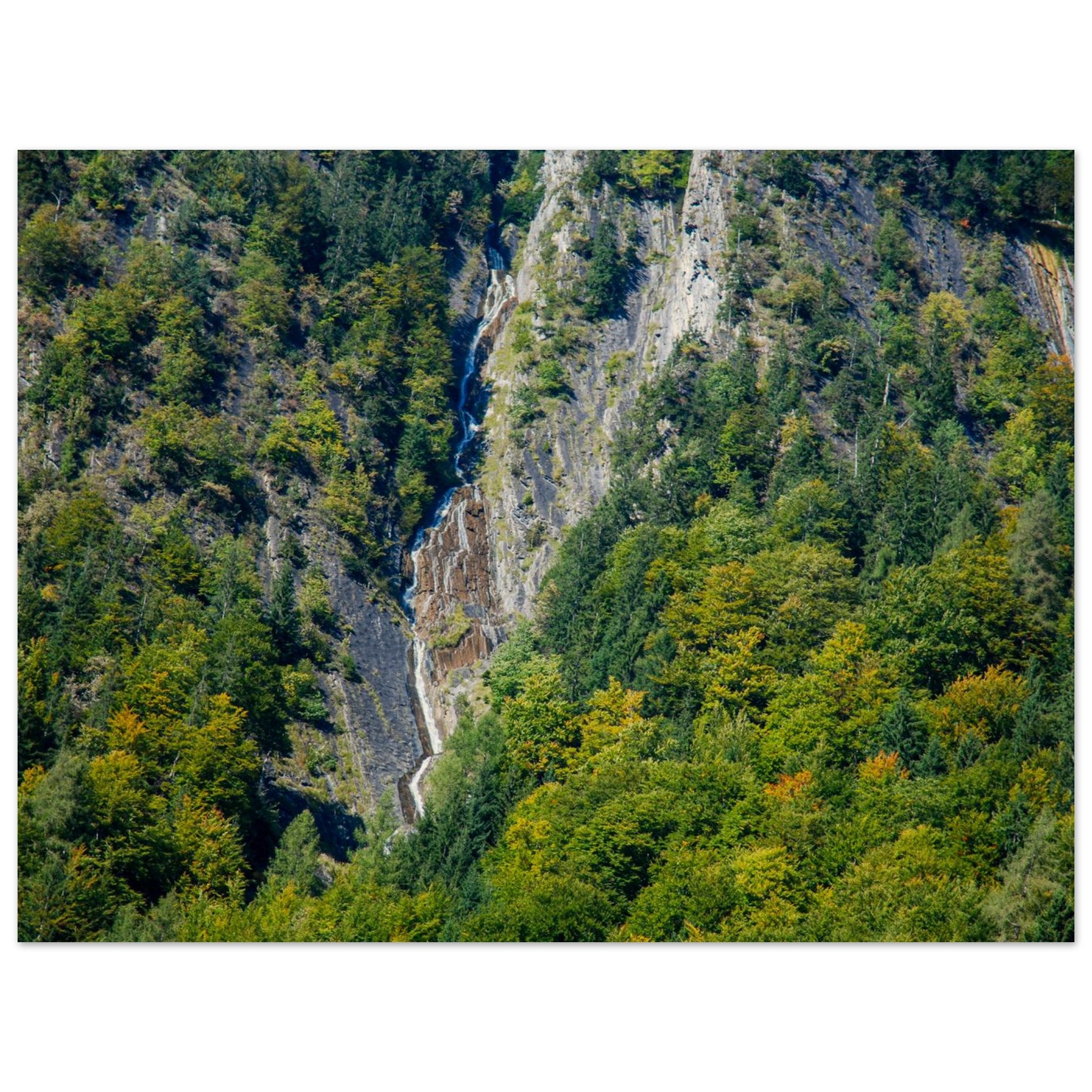 517172b5-dfed-4363-beda-99a66027fd3d