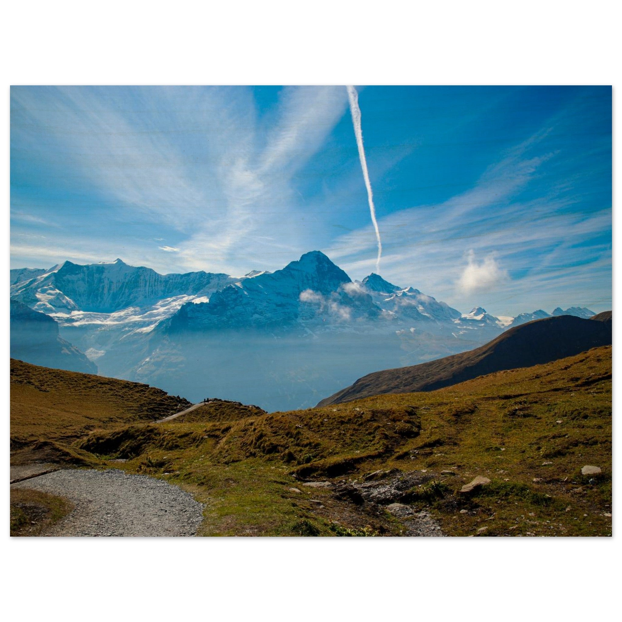 51968c9b-0f34-445d-bf97-1008165666fa