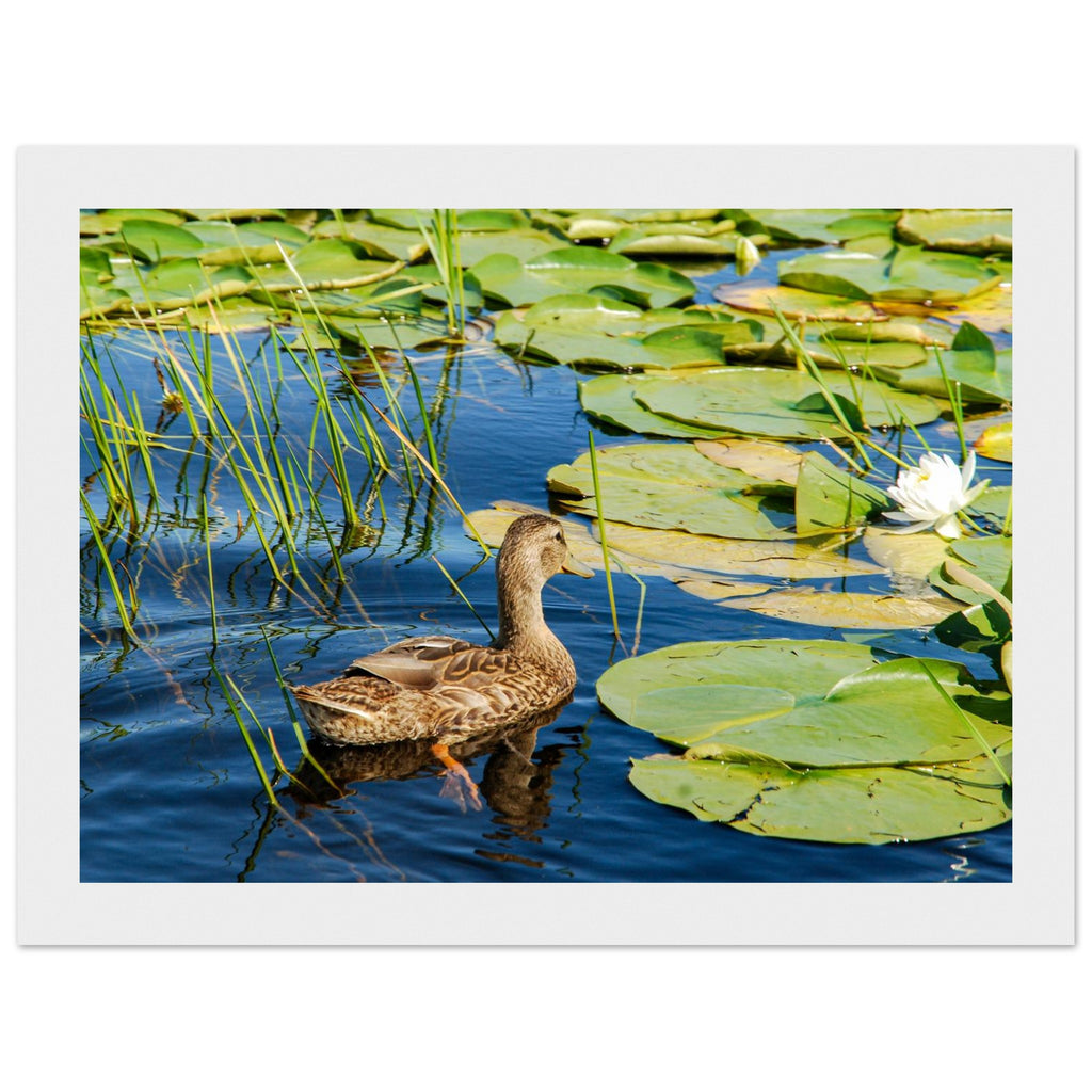 5219b5d5-95c1-4a7d-baa5-262f364986bb