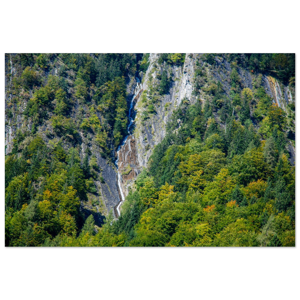 537e1839-5d78-4c2b-9560-79fa761ecb81